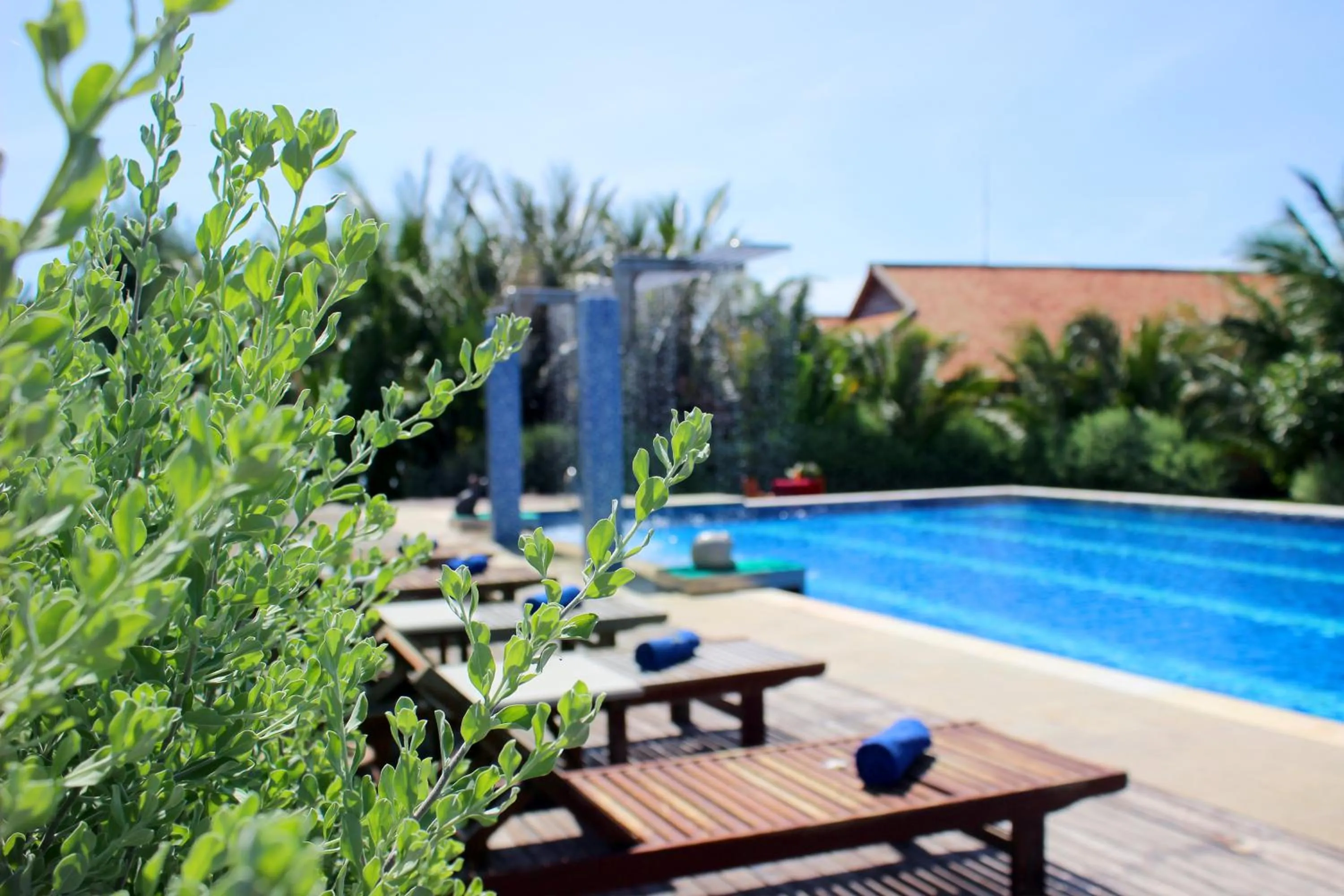 Pool view in Blue Shell Resort