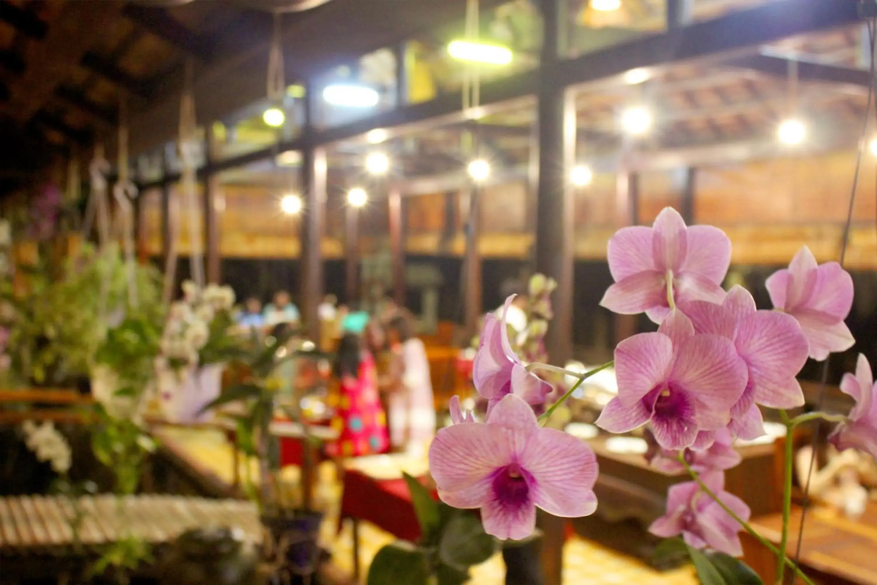 Restaurant/places to eat in Blue Shell Resort Restaurant/places to eat in Blue Shell Resort