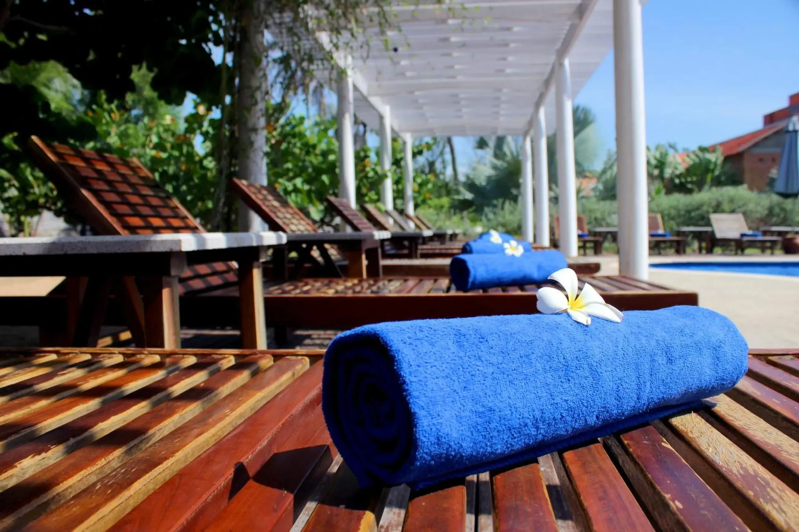 Swimming pool in Blue Shell Resort Swimming pool in Blue Shell Resort