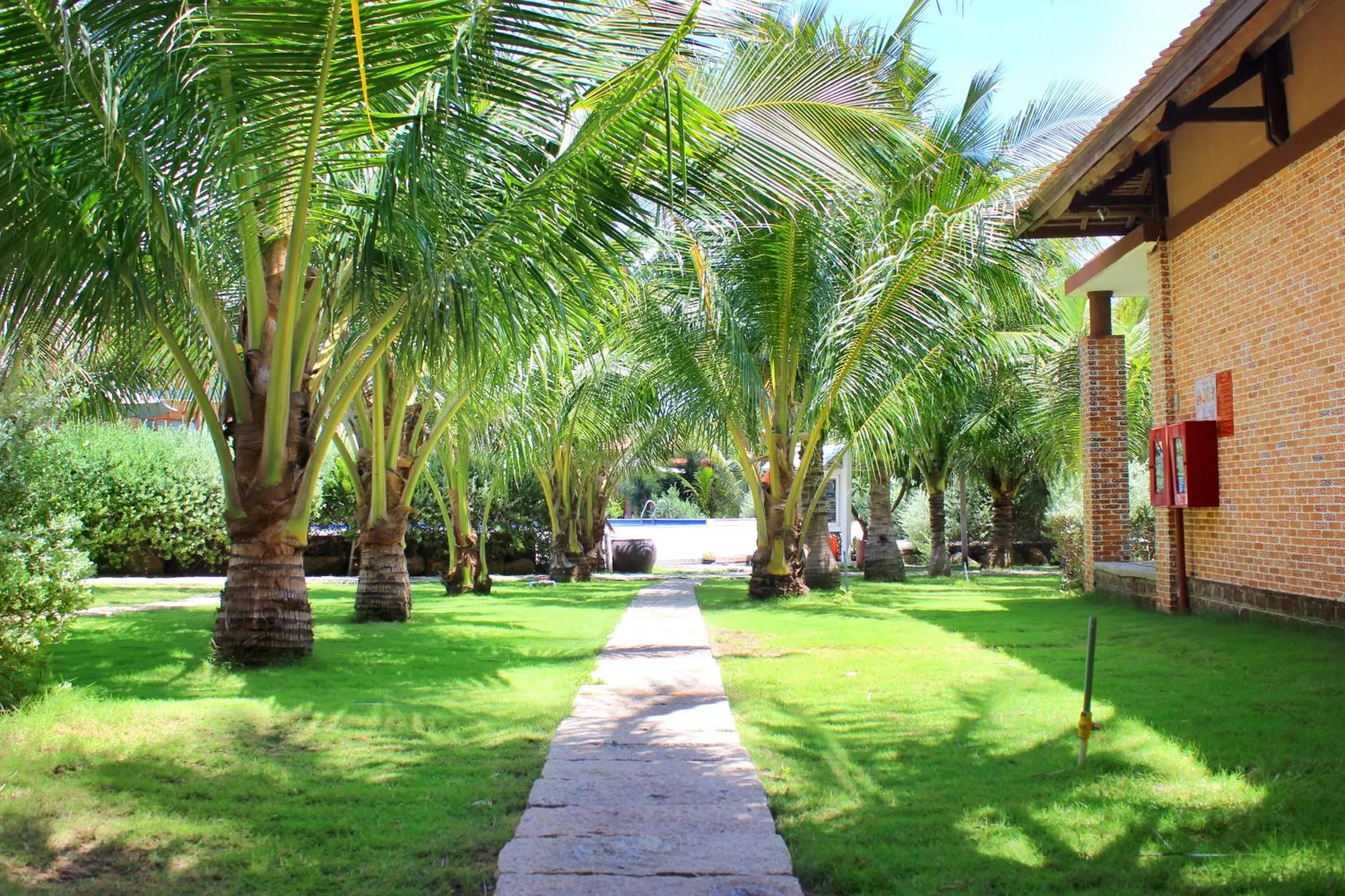 Garden in Blue Shell Resort