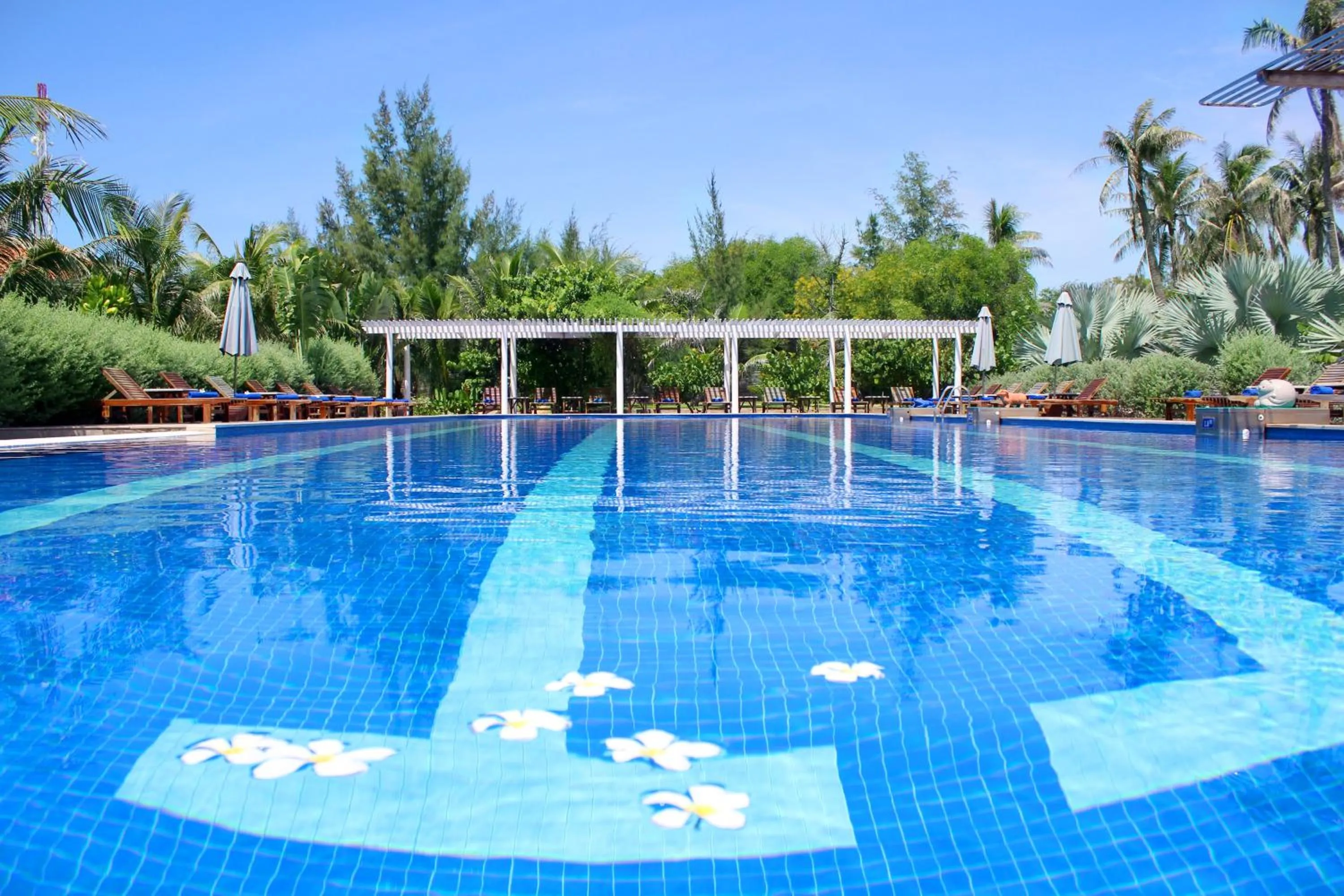 Swimming pool in Blue Shell Resort
