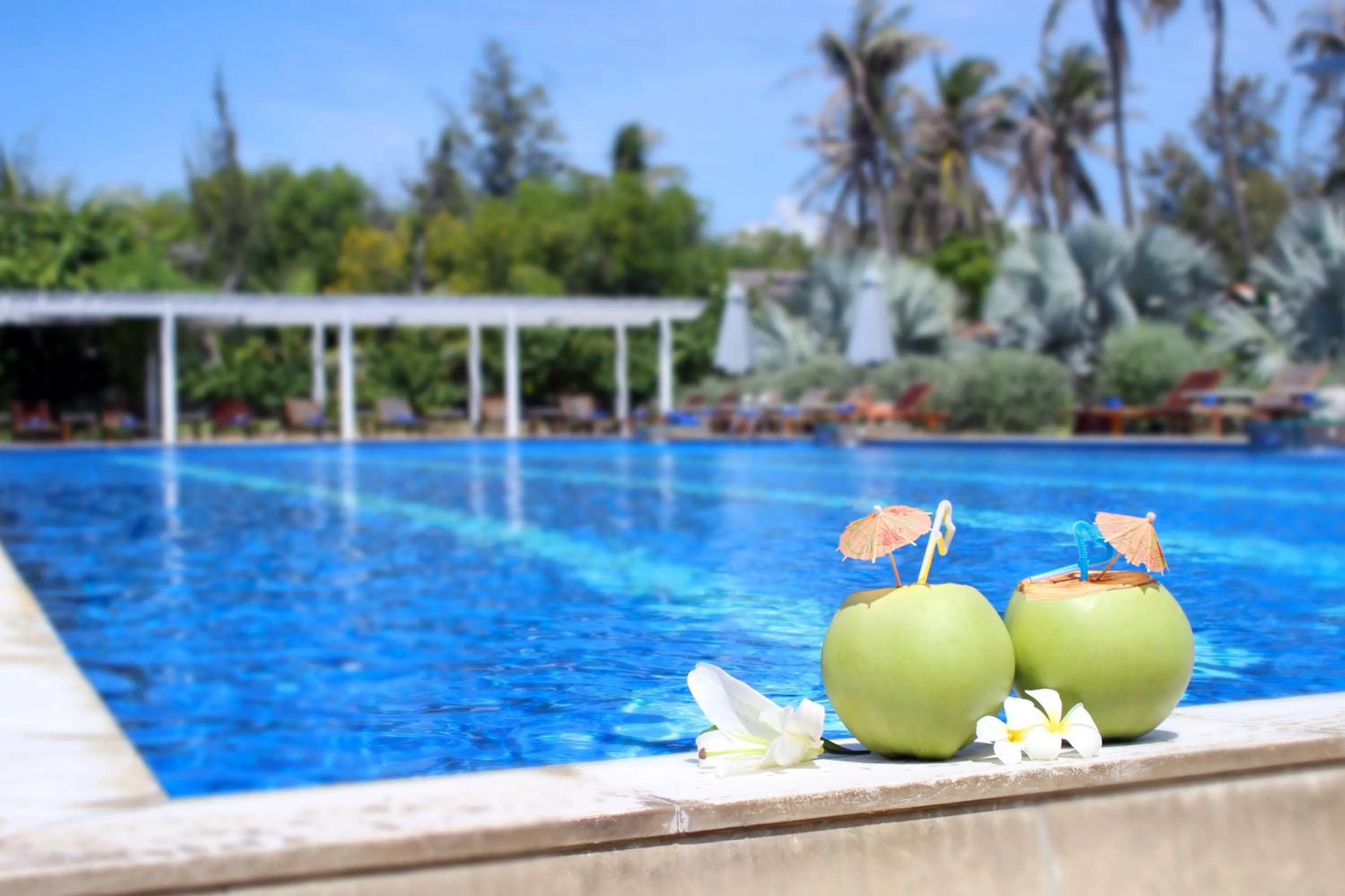 Swimming pool in Blue Shell Resort