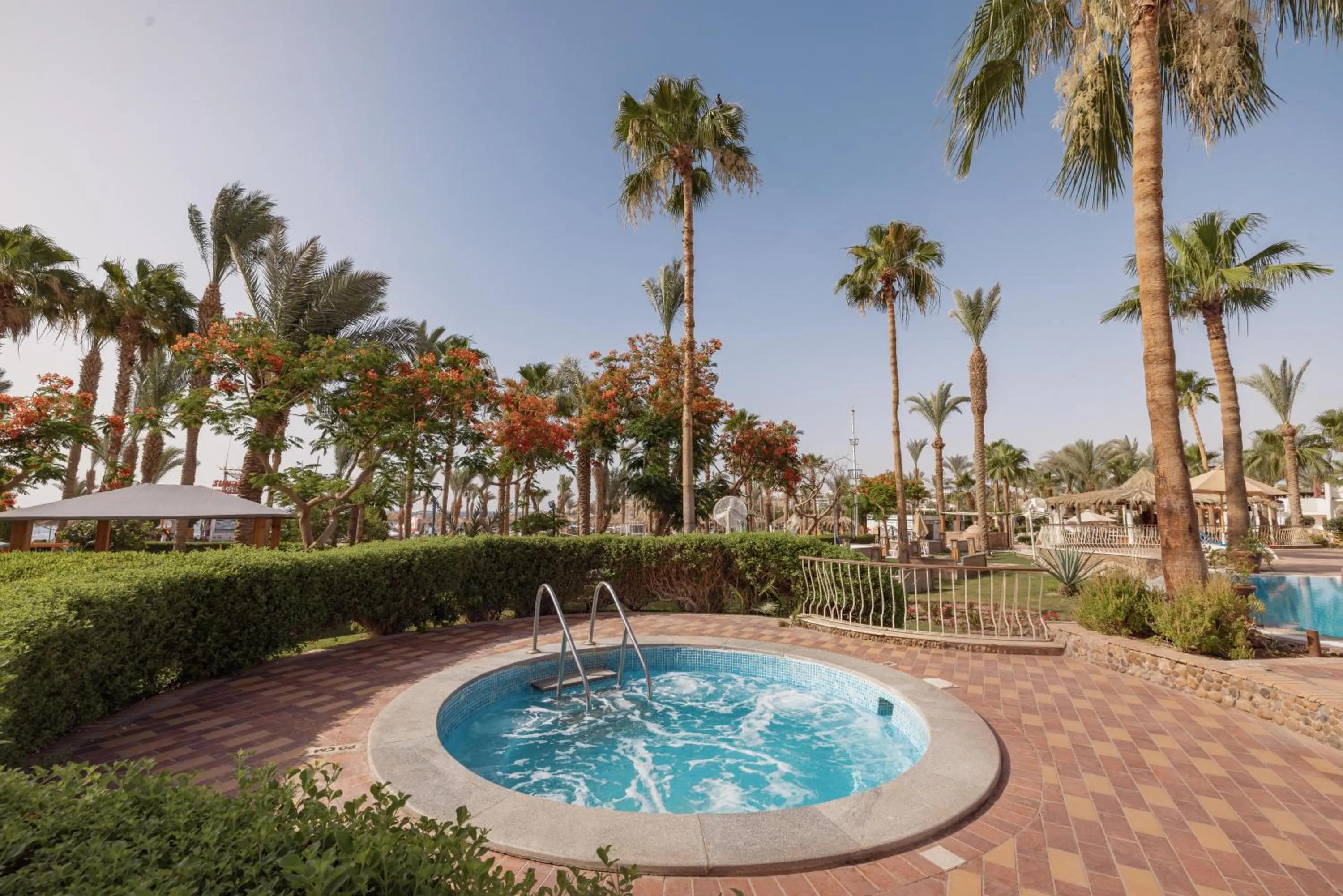 Swimming pool in JAZ Fayrouz