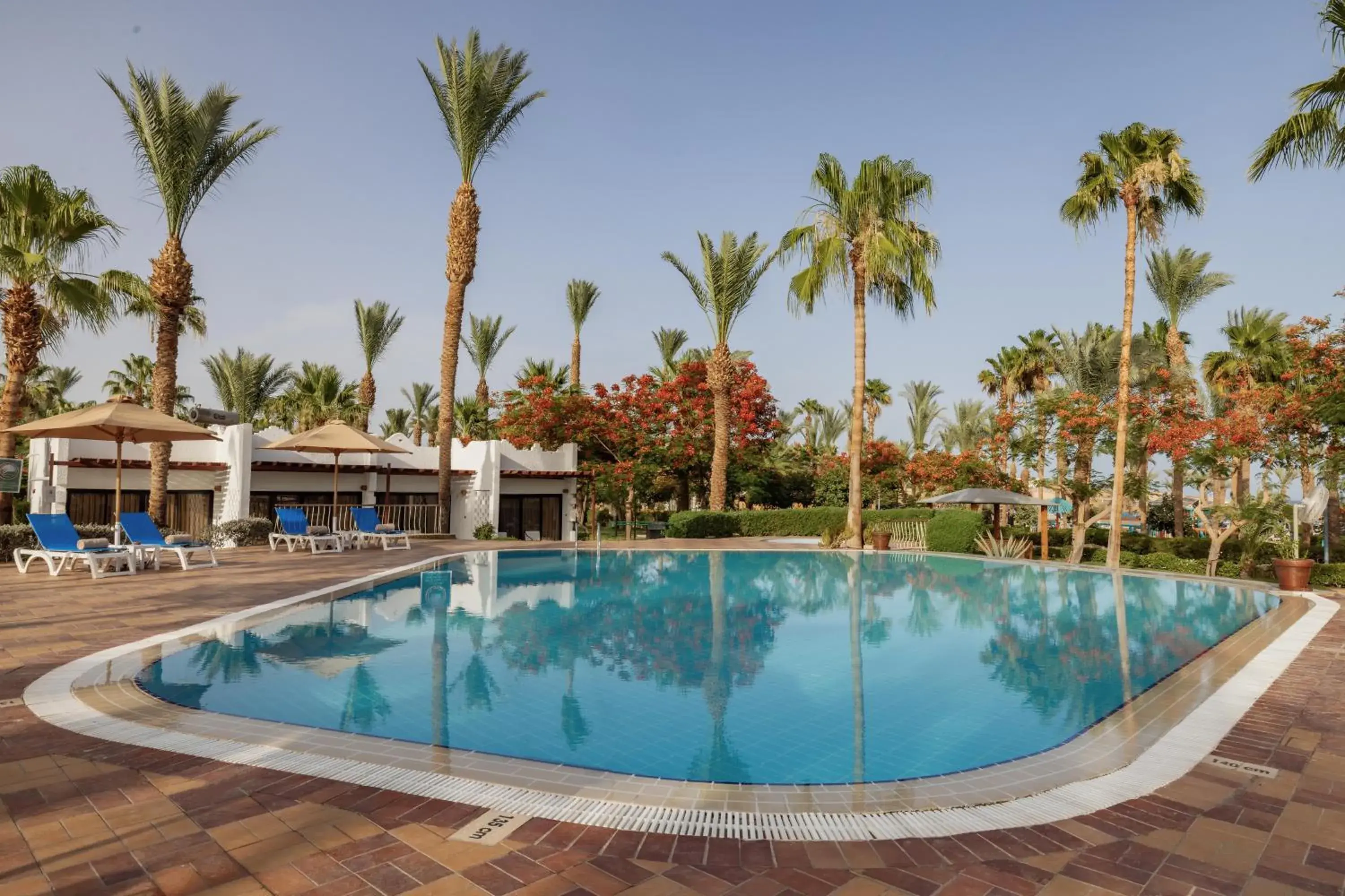 Swimming pool in JAZ Fayrouz Swimming pool in JAZ Fayrouz