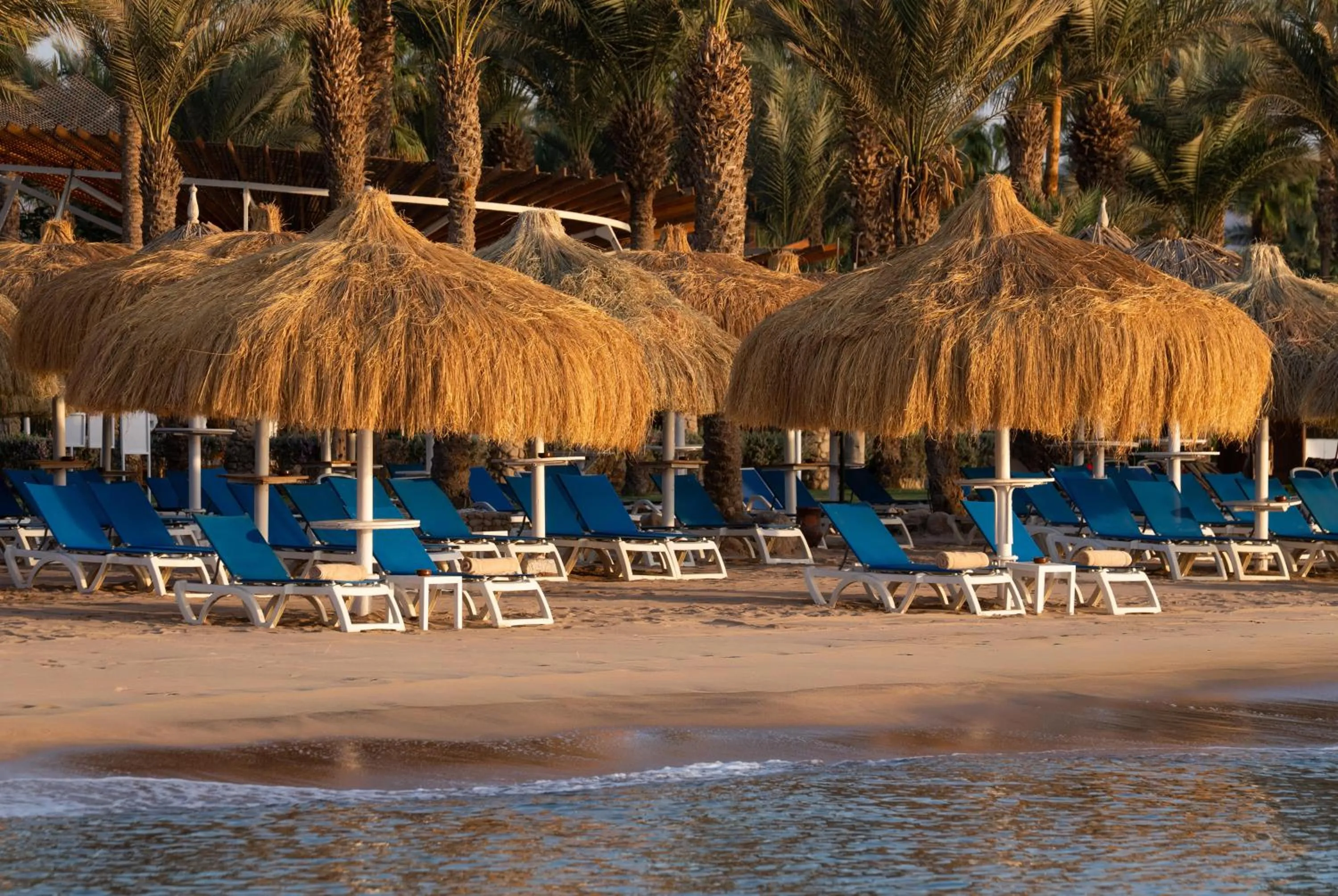 Beach in JAZ Fayrouz