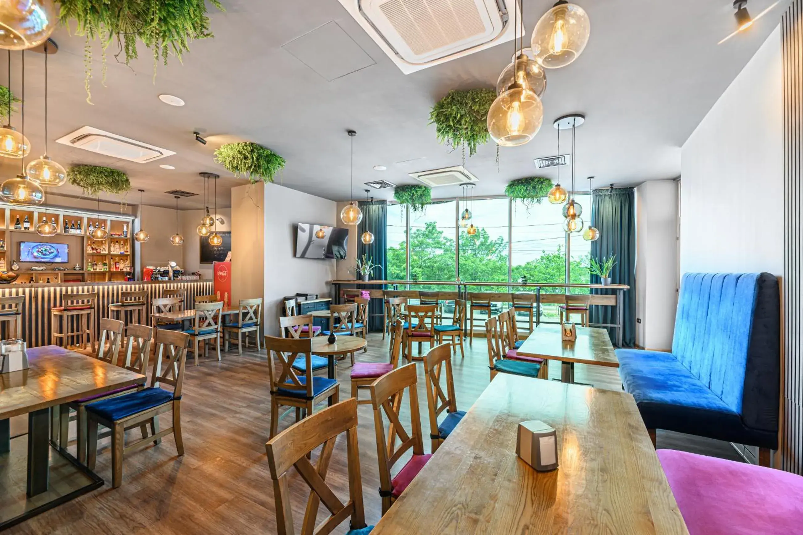 Lounge or bar in Vega Hotel Lounge or bar in Vega Hotel