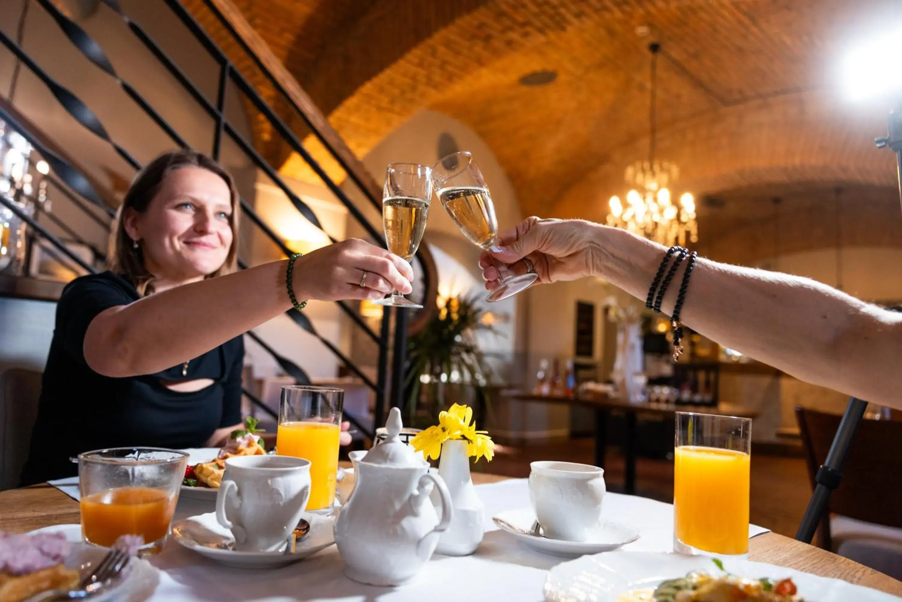 Restaurant/places to eat in Pytloun Chateau Hotel Ctěnice Restaurant/places to eat in Pytloun Chateau Hotel Ctěnice