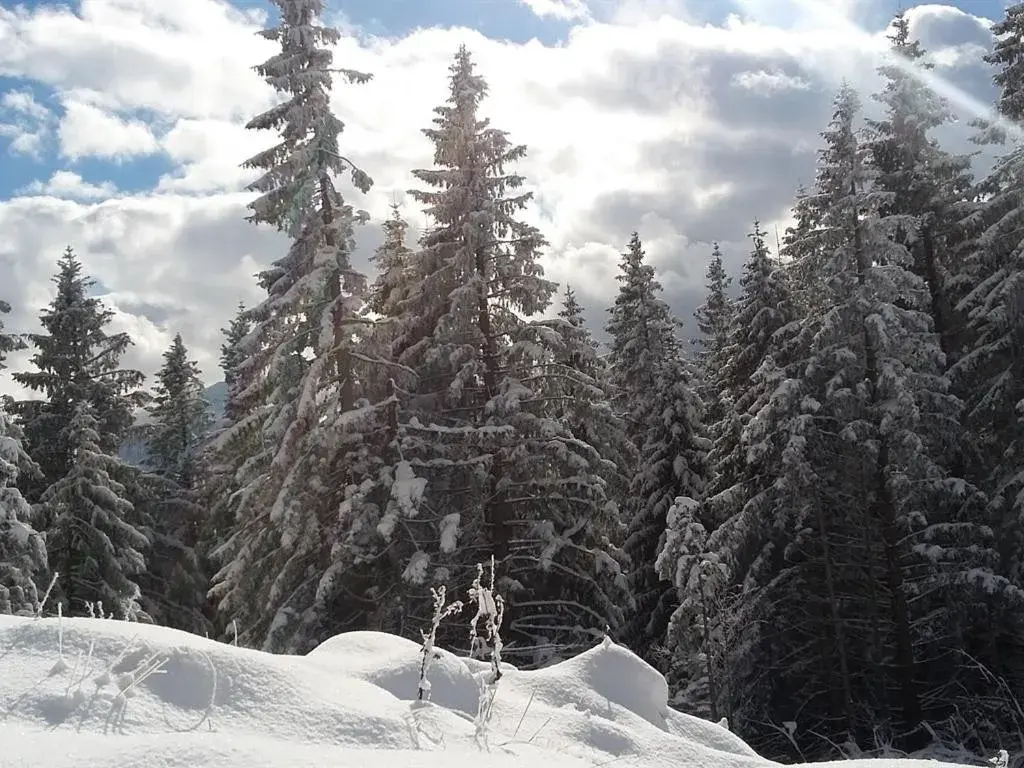 View (from property/room), Winter in Landhotel und Gasthof Kirchberger