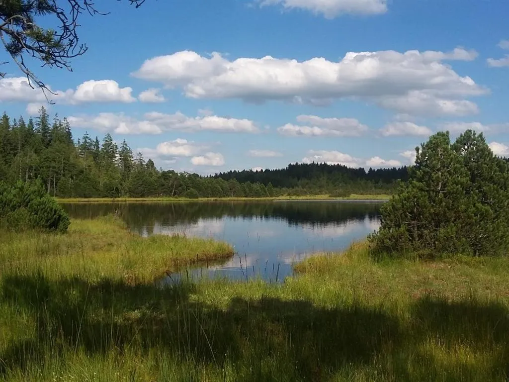 Activities in Landhotel und Gasthof Kirchberger
