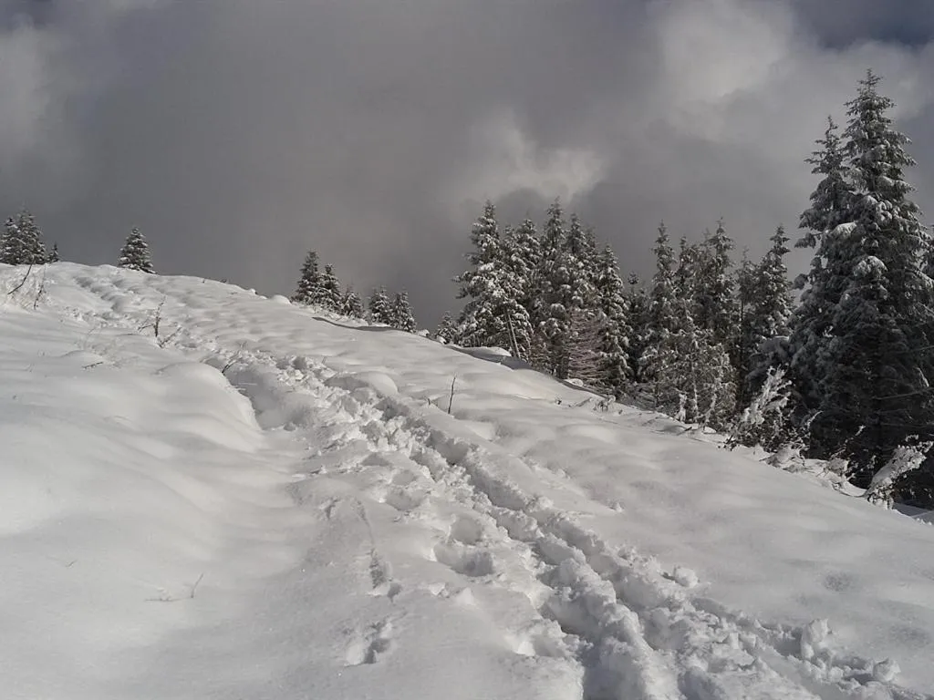 View (from property/room) in Landhotel und Gasthof Kirchberger