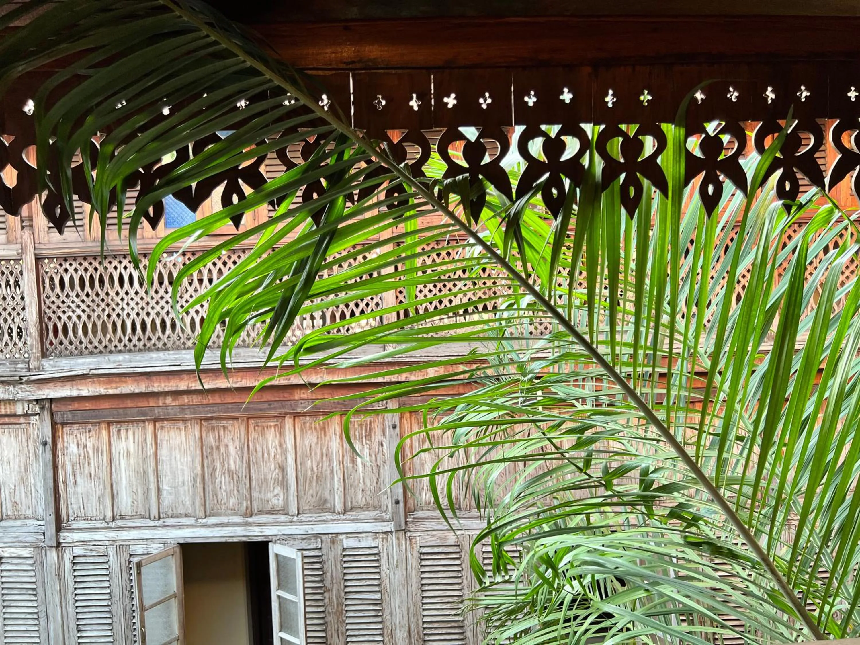 Garden view in Jafferji House