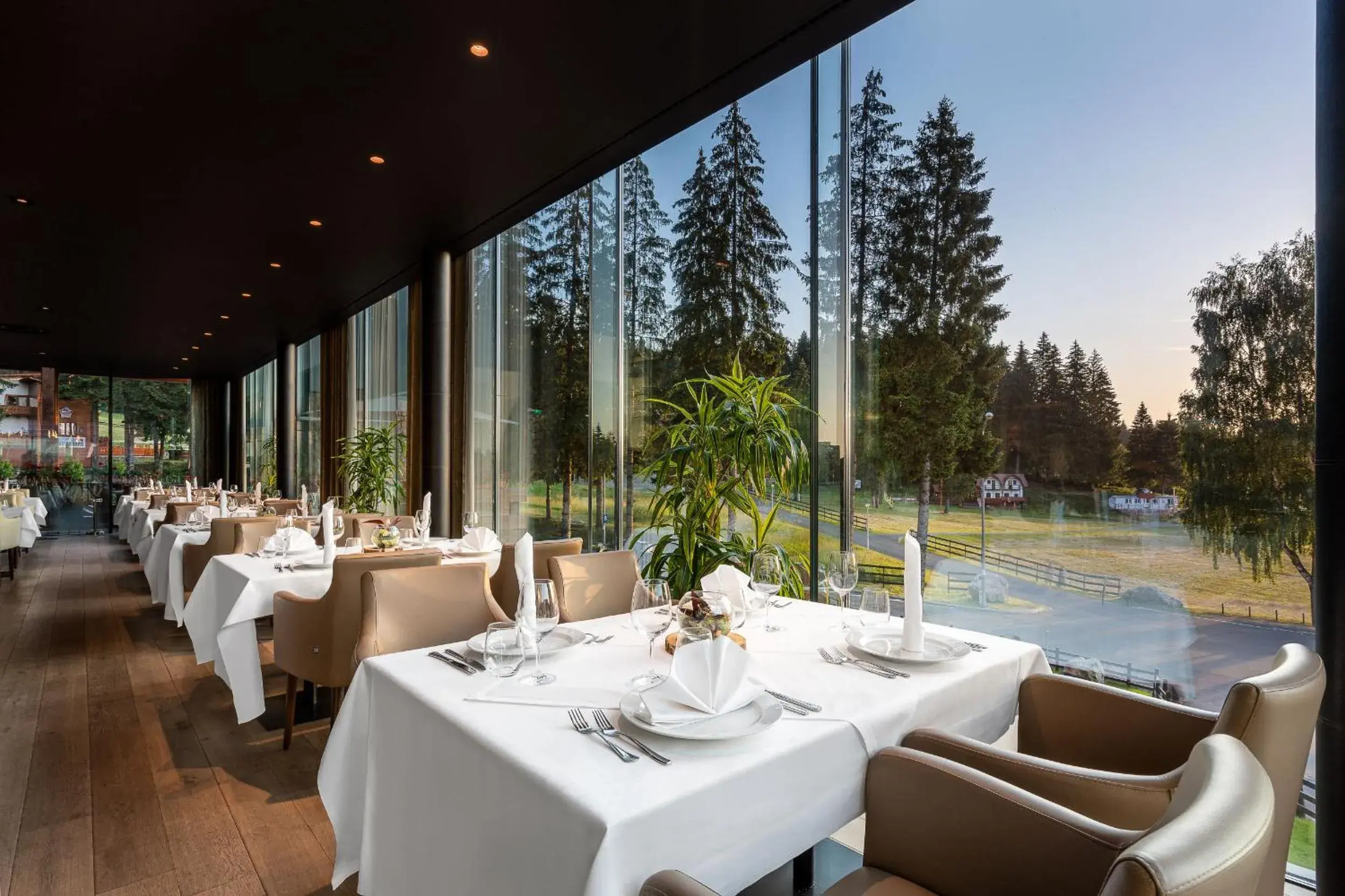 Restaurant/places to eat in Ana Hotels Sport Poiana Brasov Restaurant/places to eat in Ana Hotels Sport Poiana Brasov