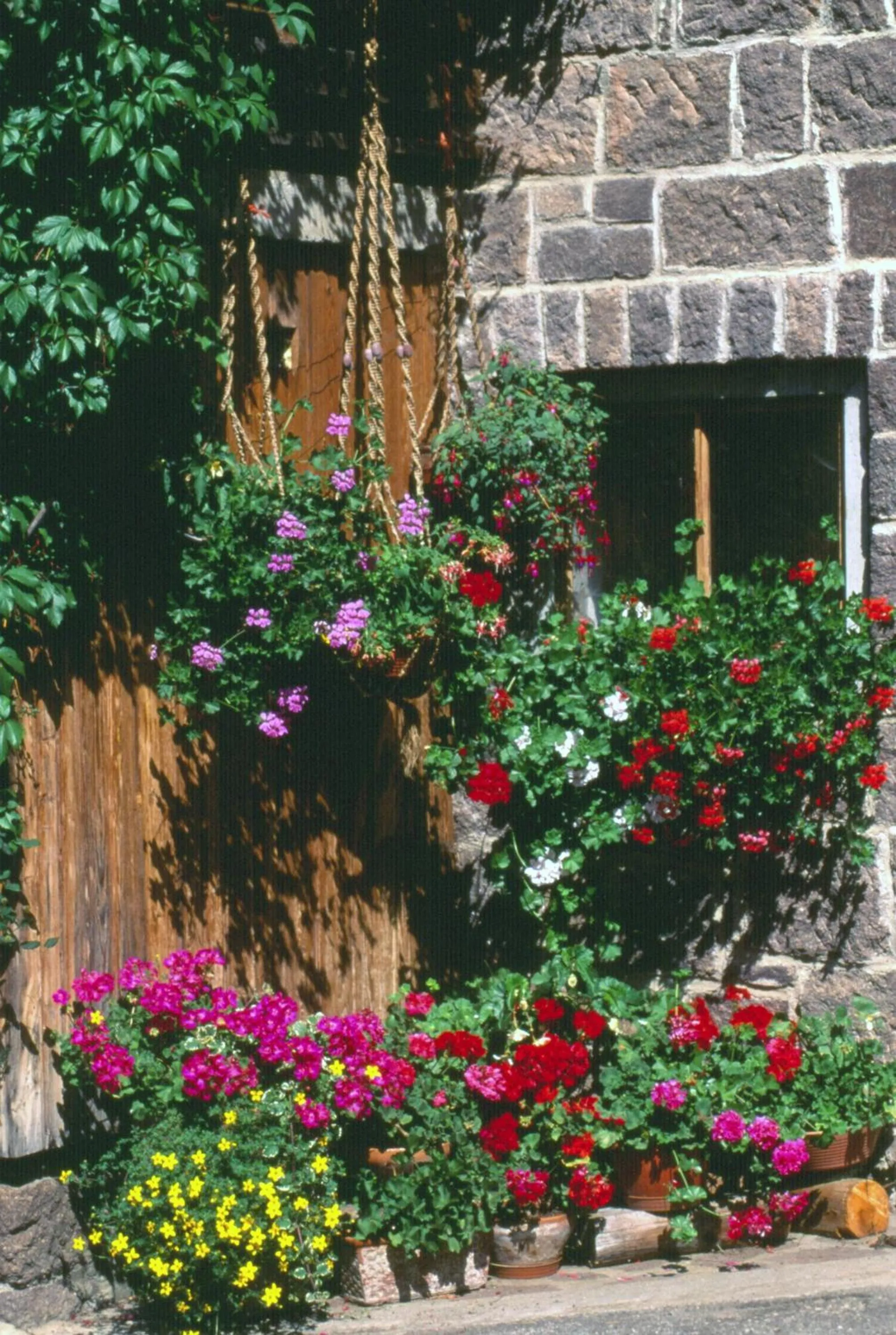 Ganoihof apartments