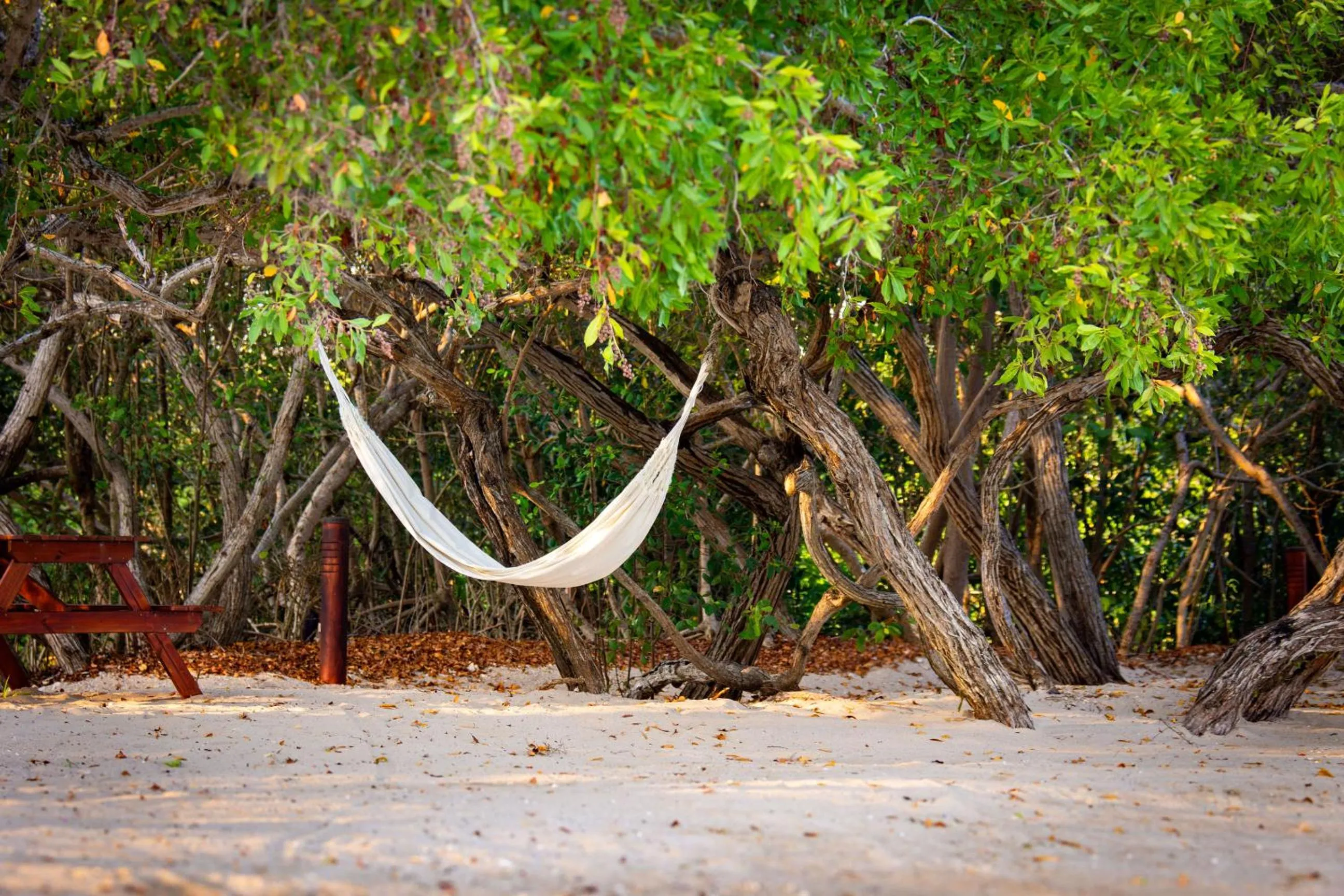 Beach in Hotel Playa Manglares Isla Baru