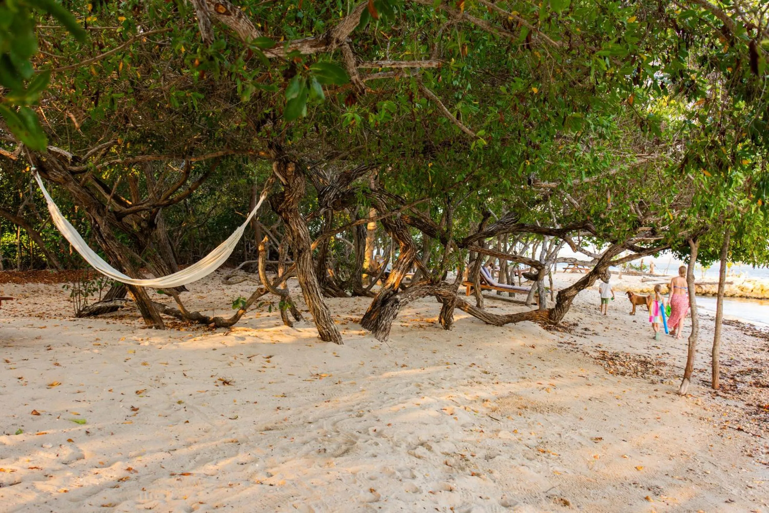Beach in Hotel Playa Manglares Isla Baru