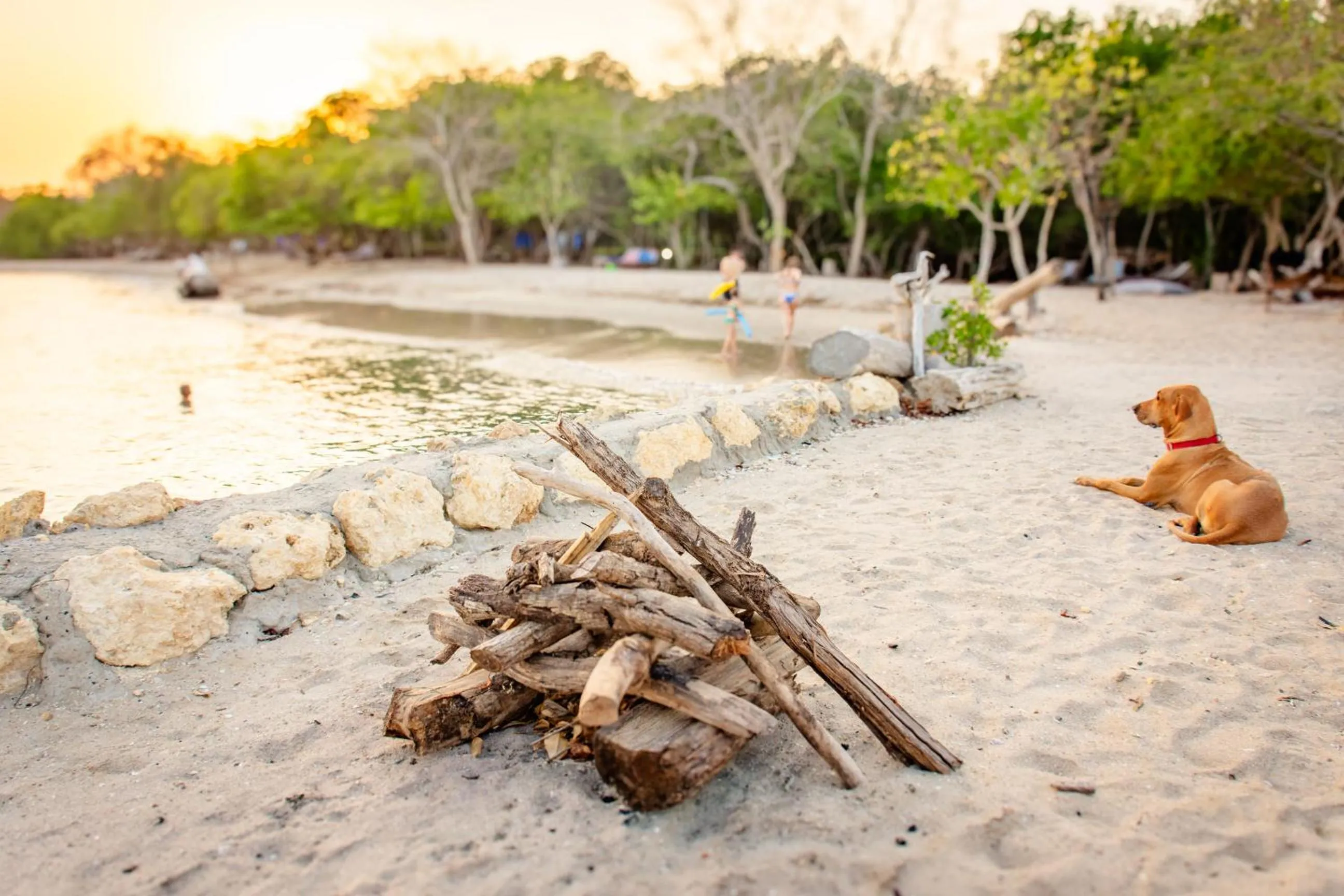 Beach in Hotel Playa Manglares Isla Baru