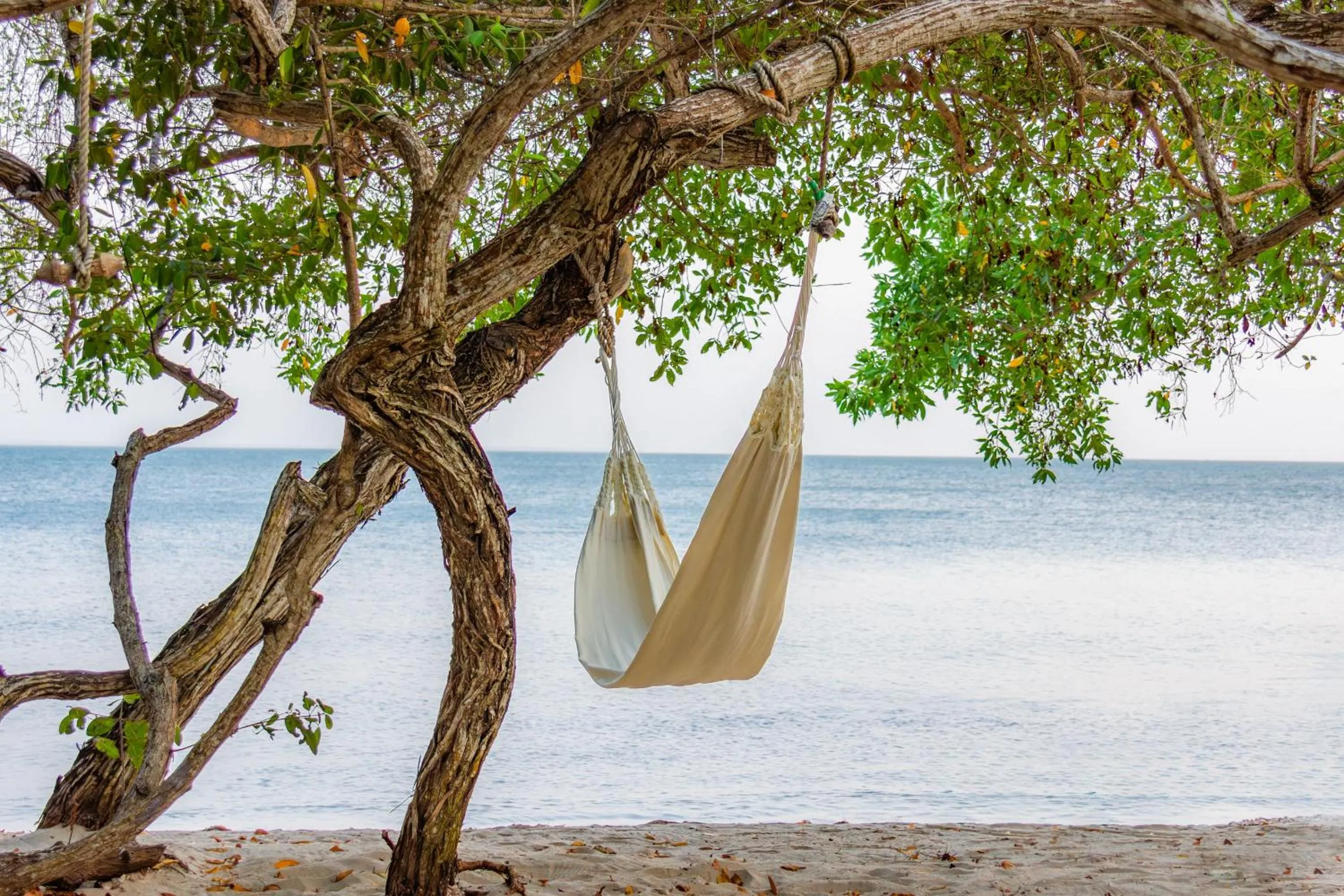 Beach in Hotel Playa Manglares Isla Baru
