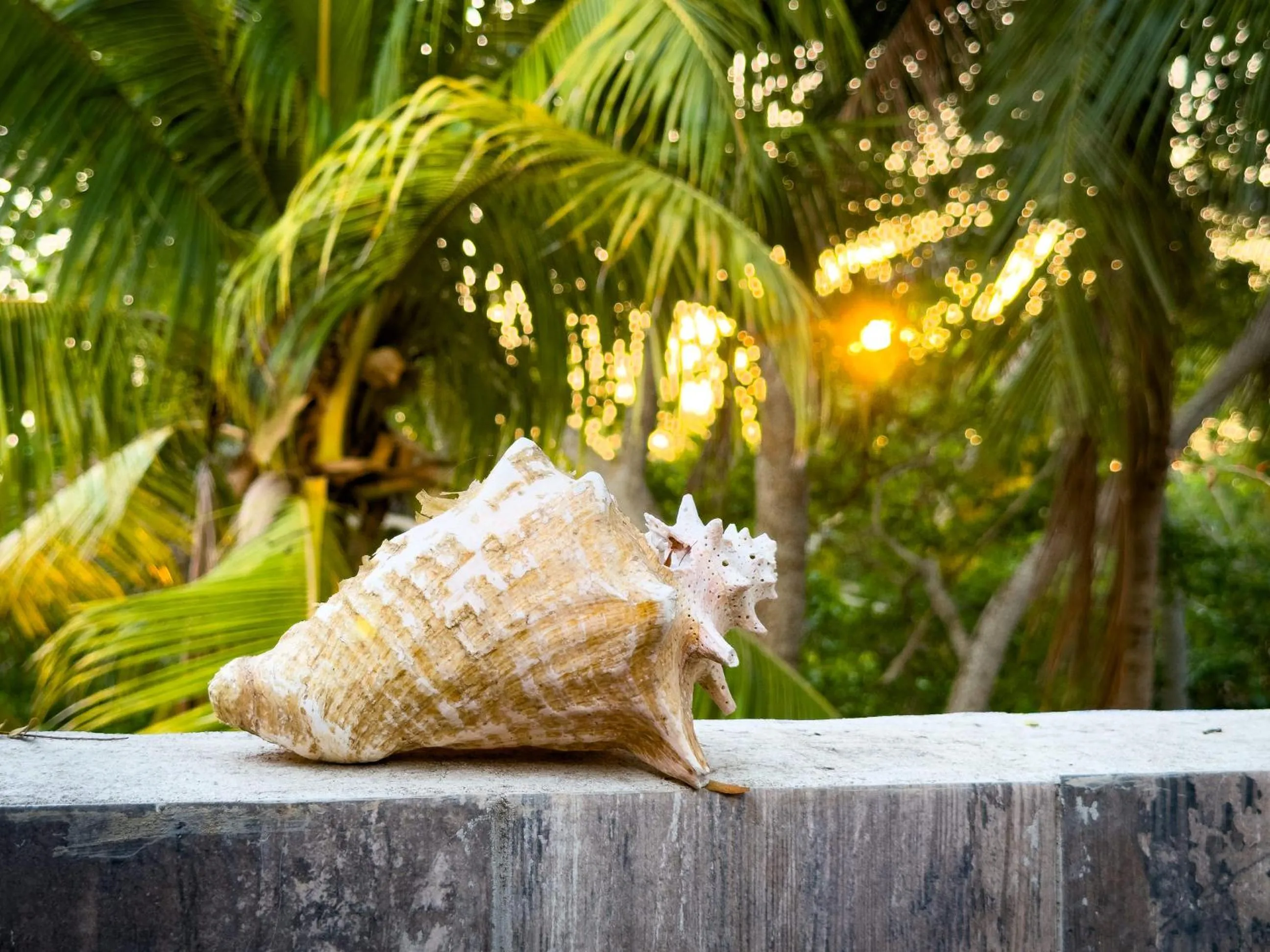 Bathroom in Hotel Playa Manglares Isla Baru