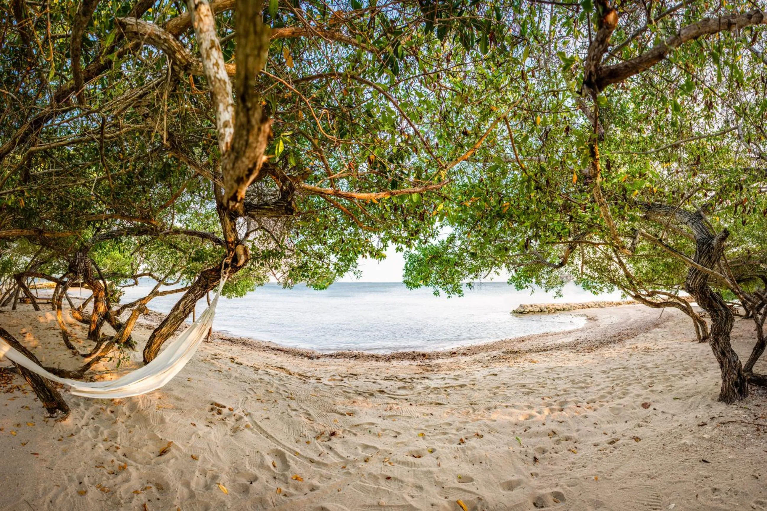 Beach in Hotel Playa Manglares Isla Baru