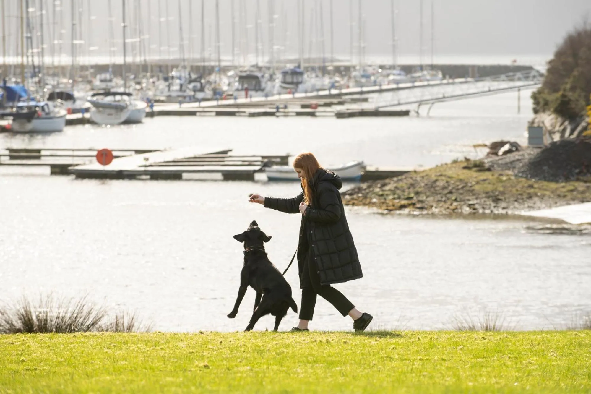 Pets in Portavadie Loch Fyne Scotland