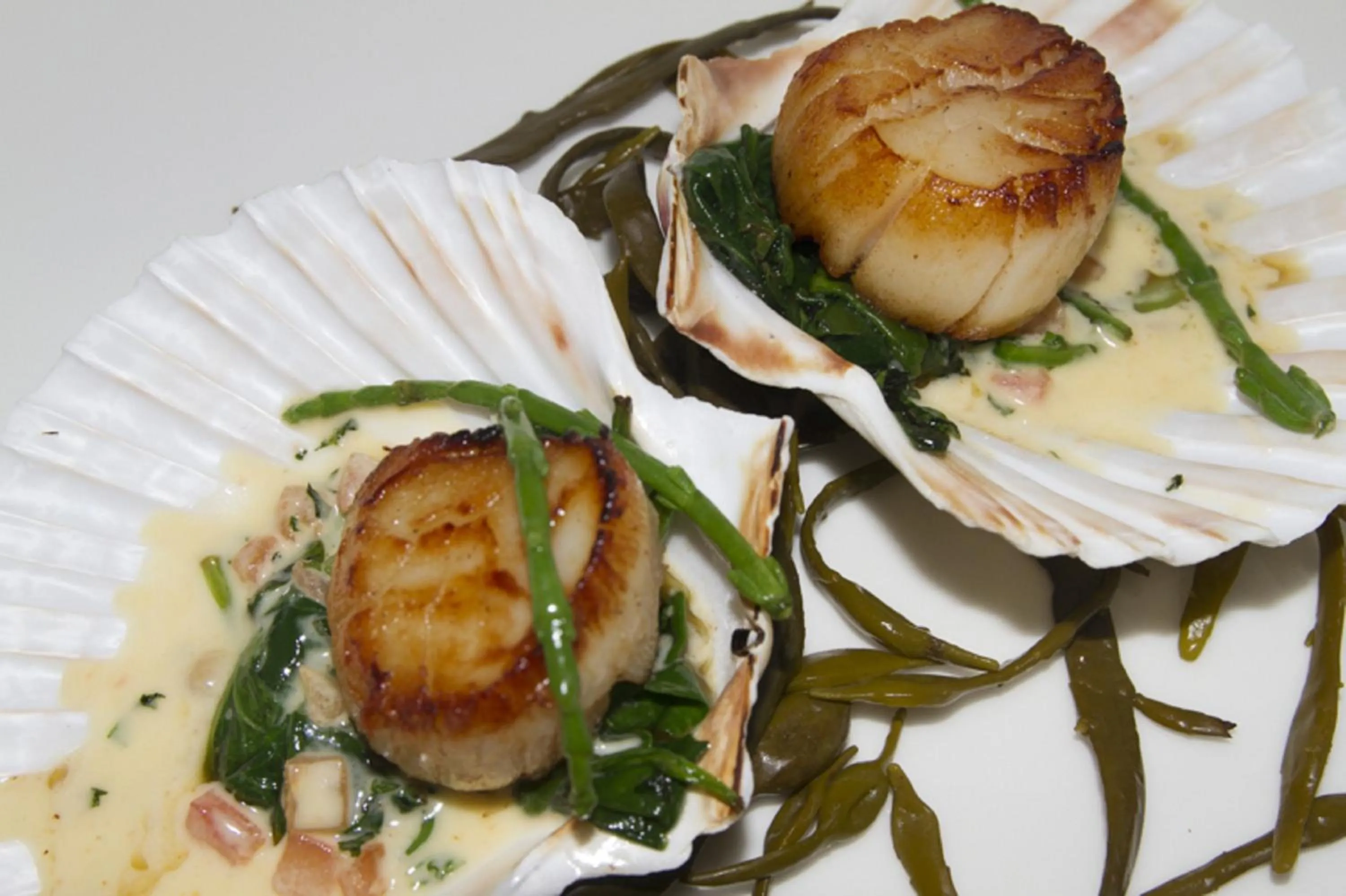 Food close-up in Portavadie Loch Fyne Scotland