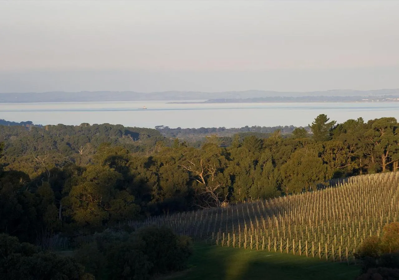 Sea view in Port Phillip Estate