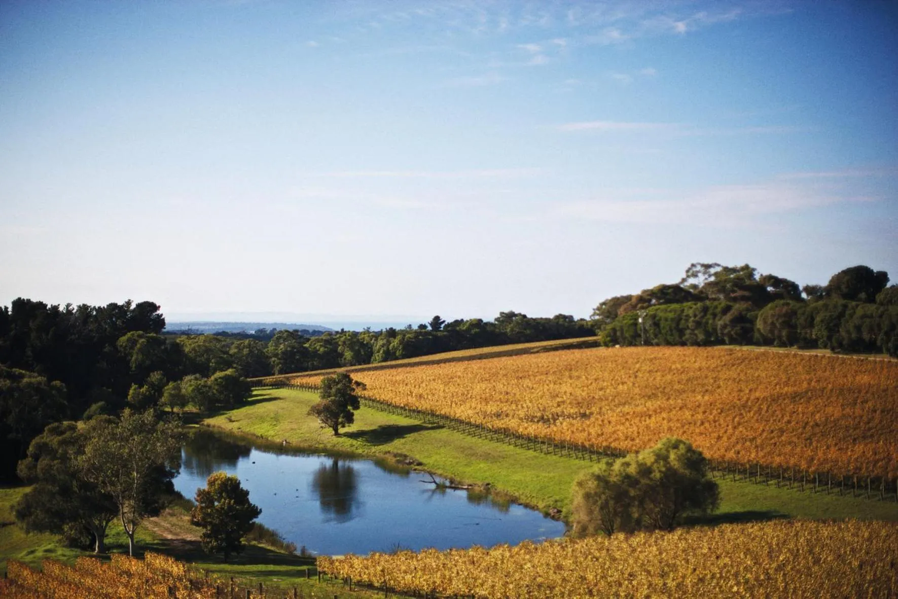 View (from property/room) in Port Phillip Estate
