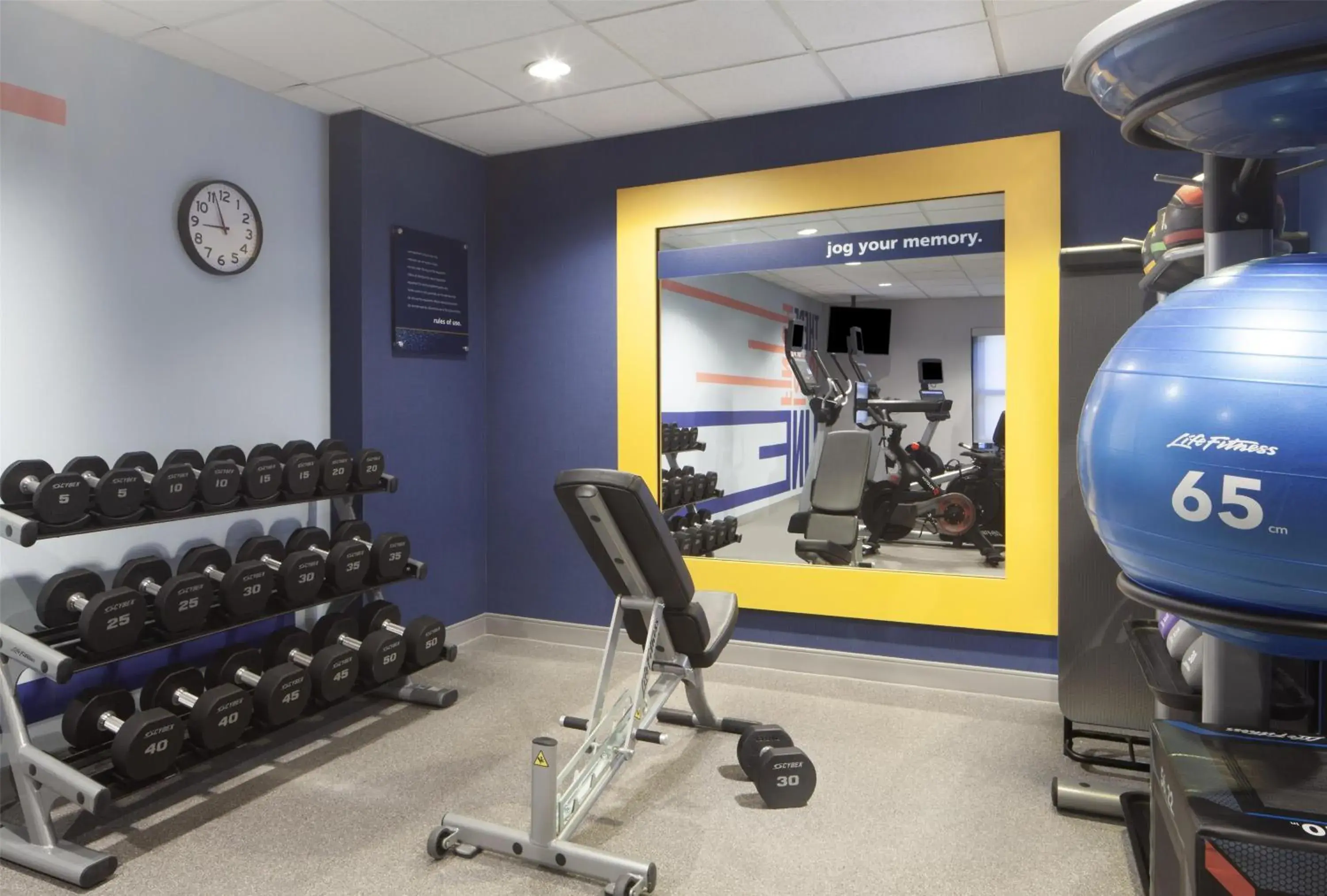 Fitness centre/facilities in Hampton Inn & Suites Tampa-North Fitness centre/facilities in Hampton Inn & Suites Tampa-North