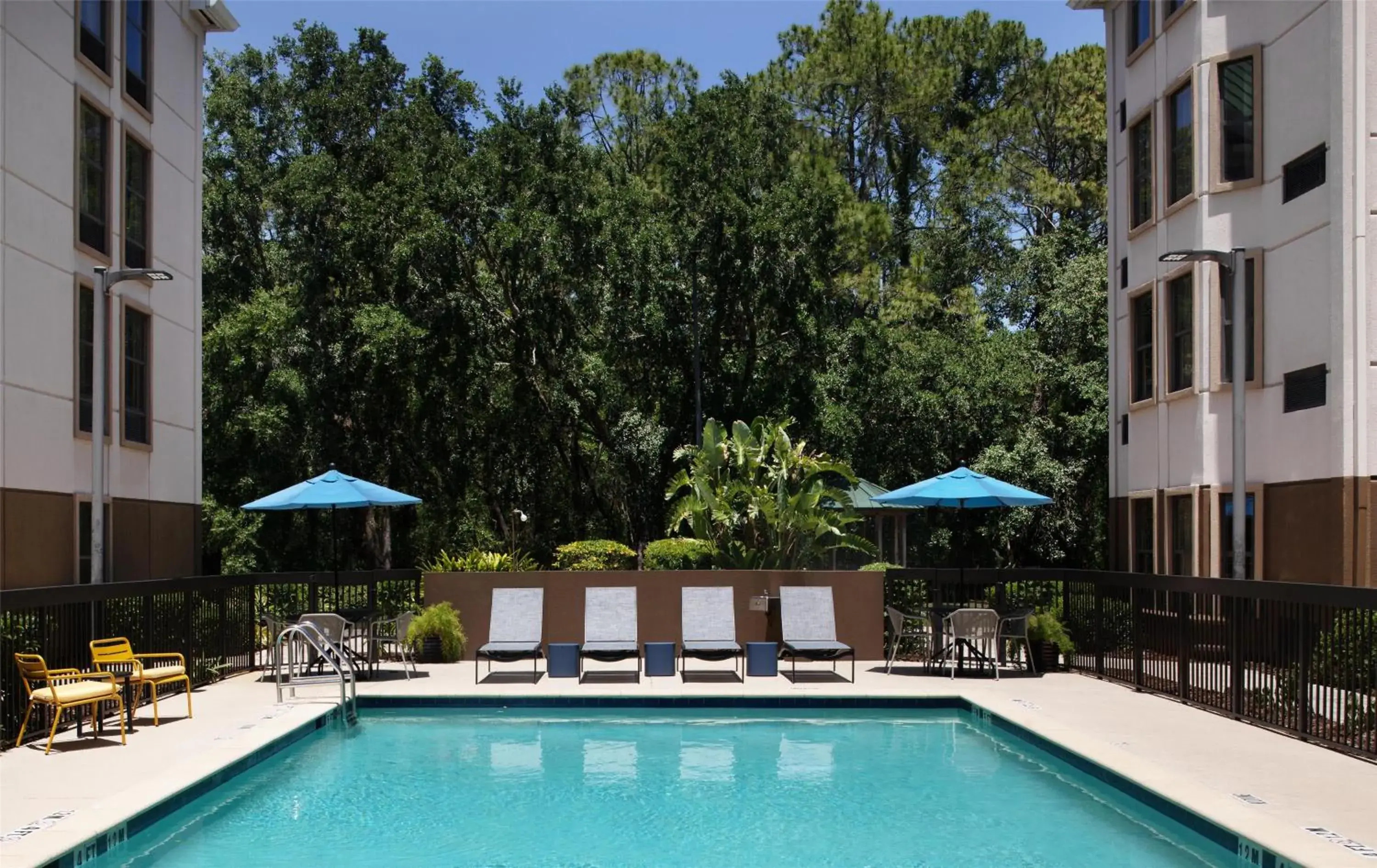 Pool view in Hampton Inn & Suites Tampa-North Pool view in Hampton Inn & Suites Tampa-North