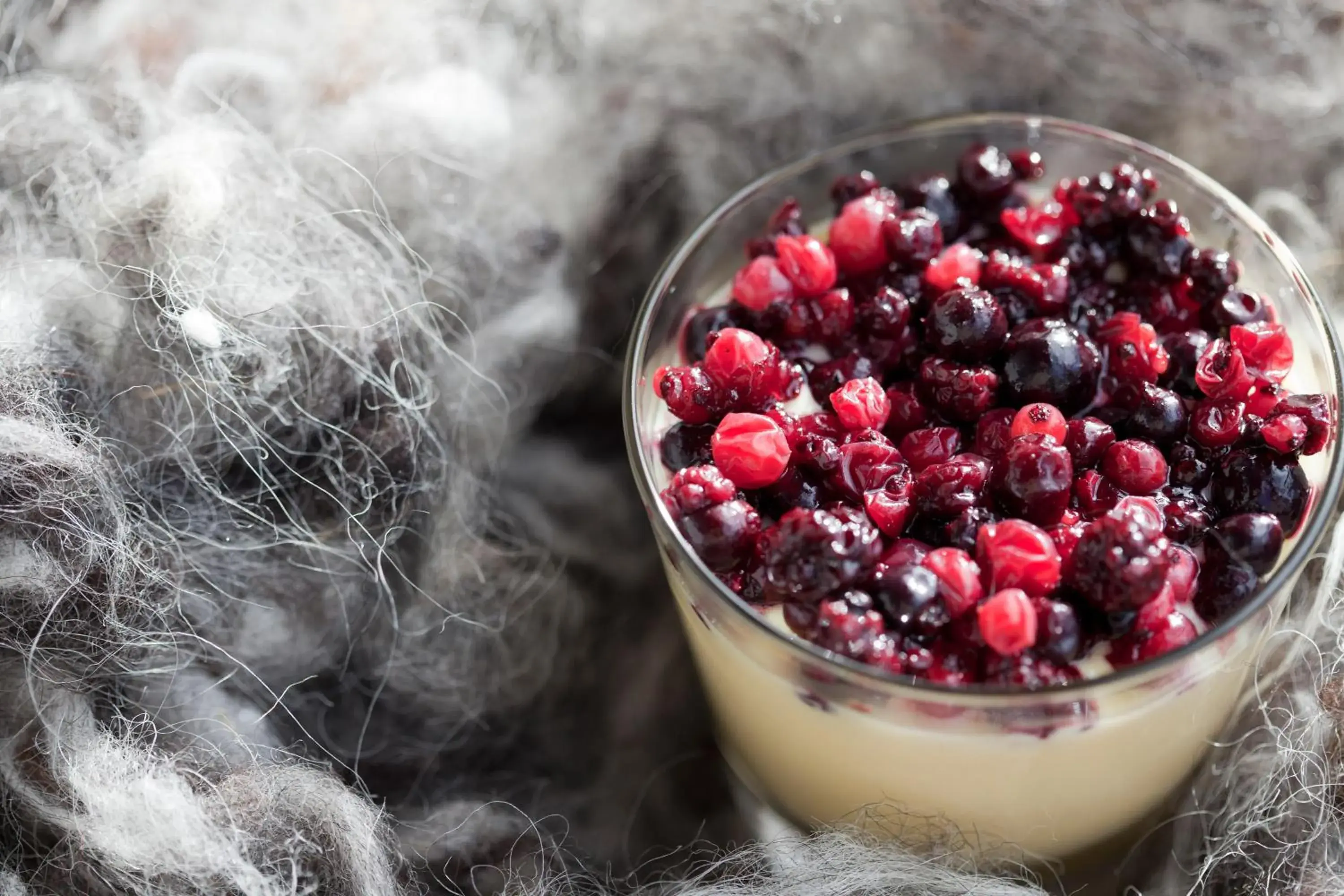 Food close-up in Chalet Svizzero Food close-up in Chalet Svizzero