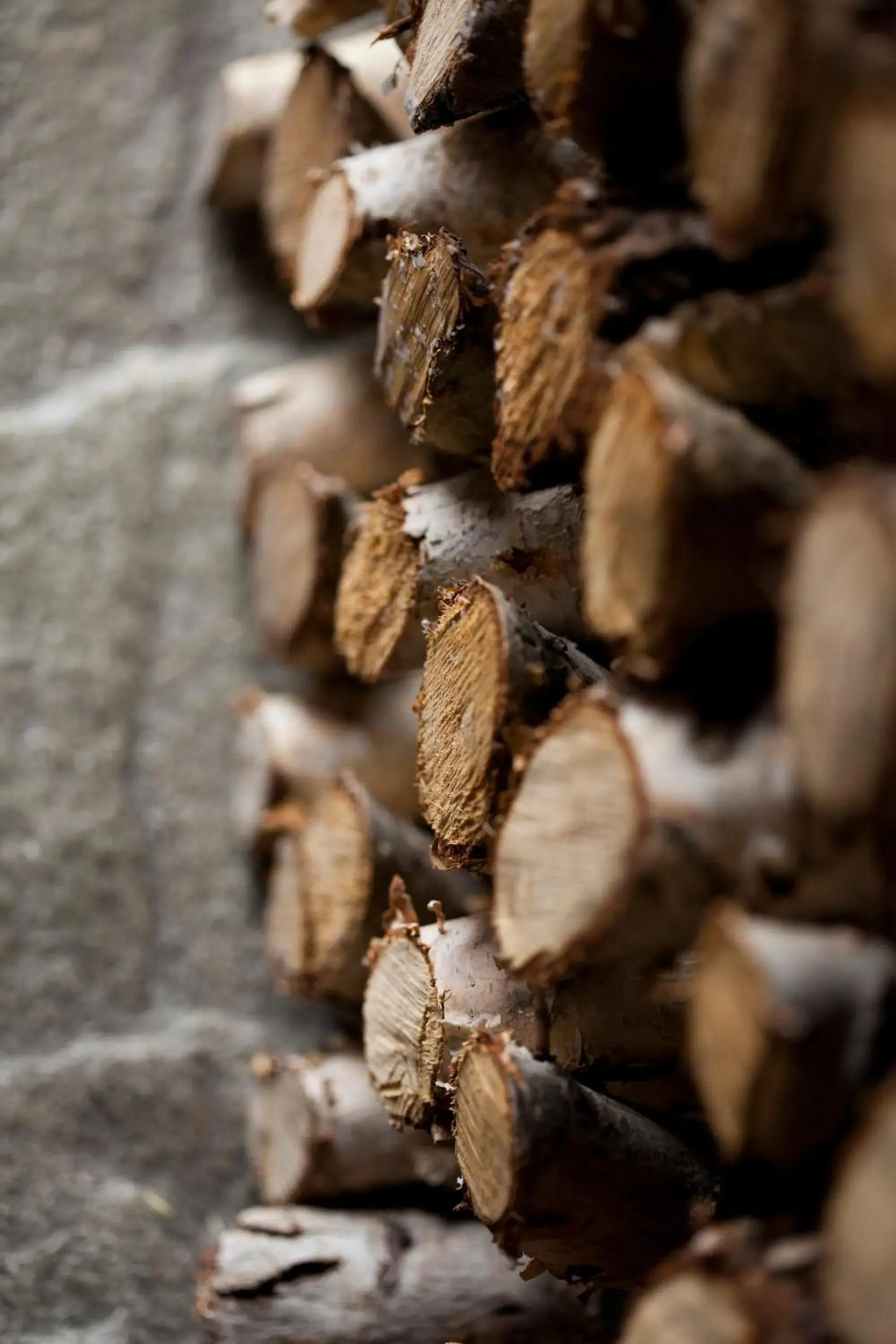Facade/entrance in Chalet Svizzero Facade/entrance in Chalet Svizzero