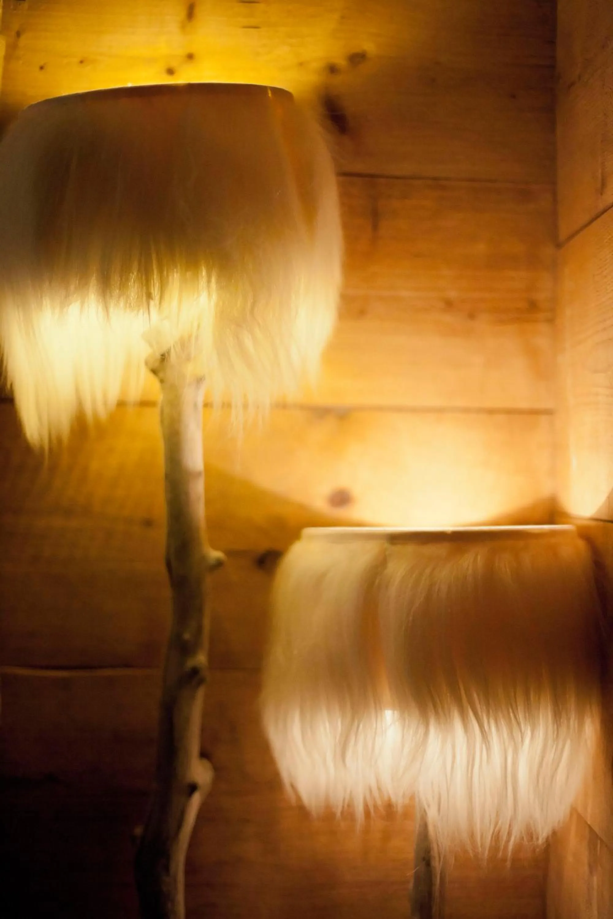 Decorative detail in Chalet Svizzero