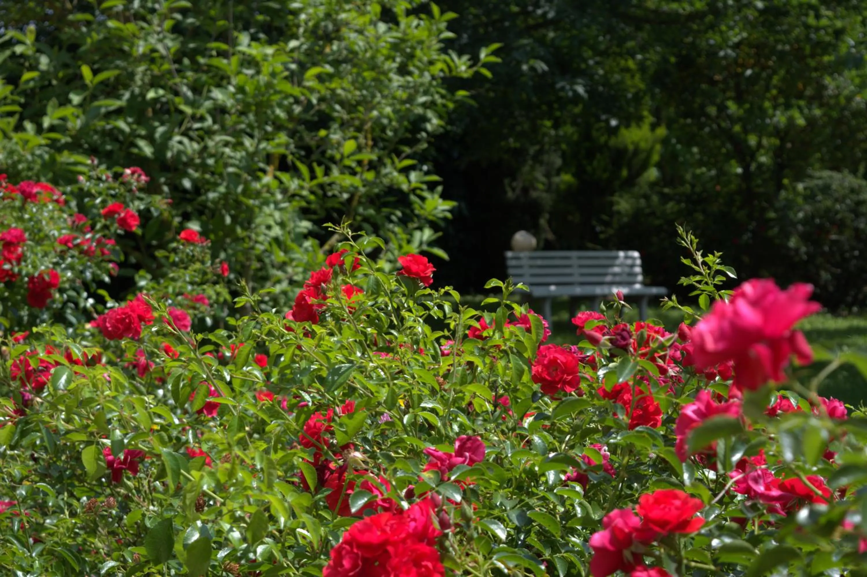 Garden in B&B Terra del Sole
