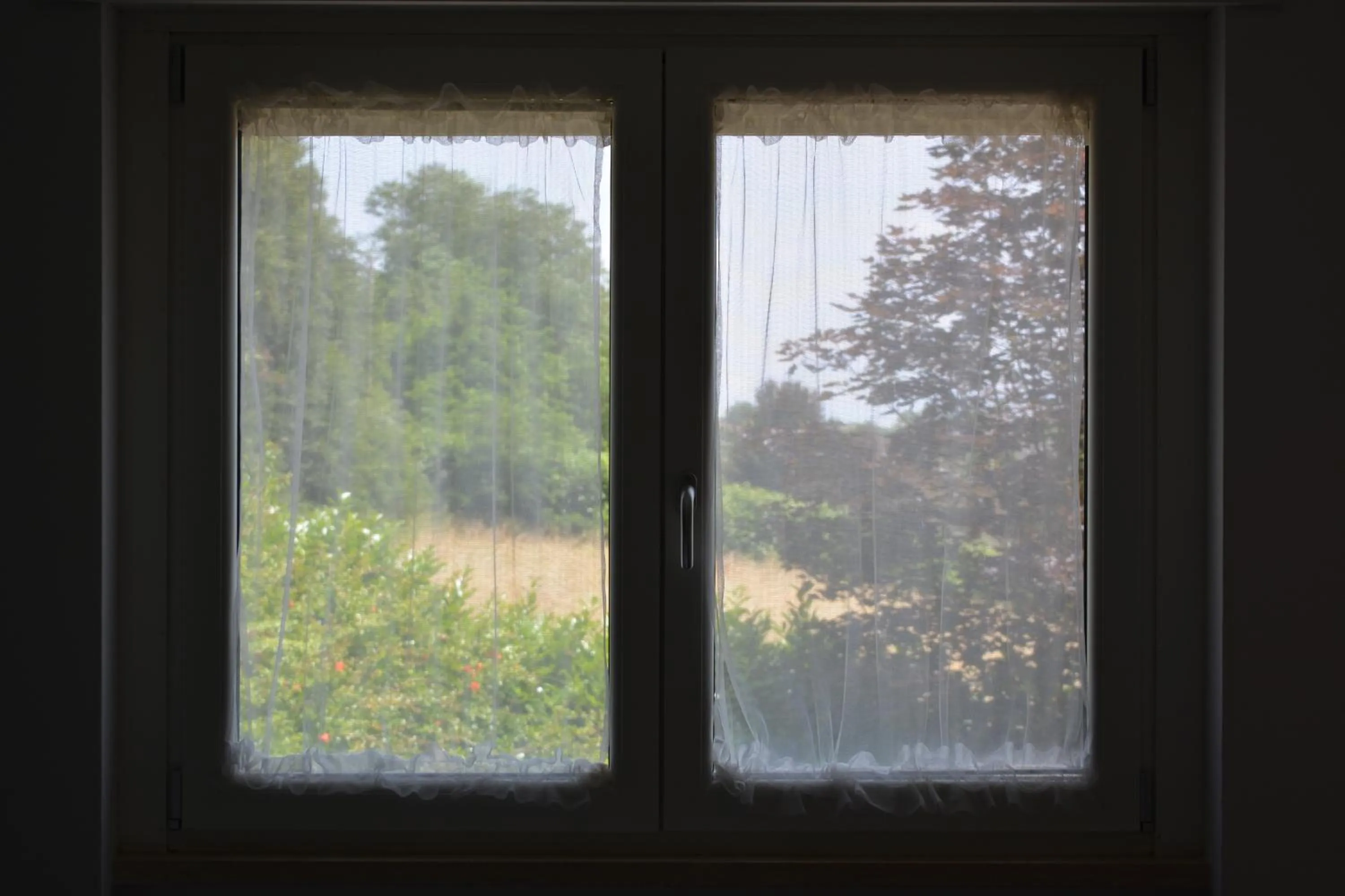 View (from property/room) in B&B Terra del Sole