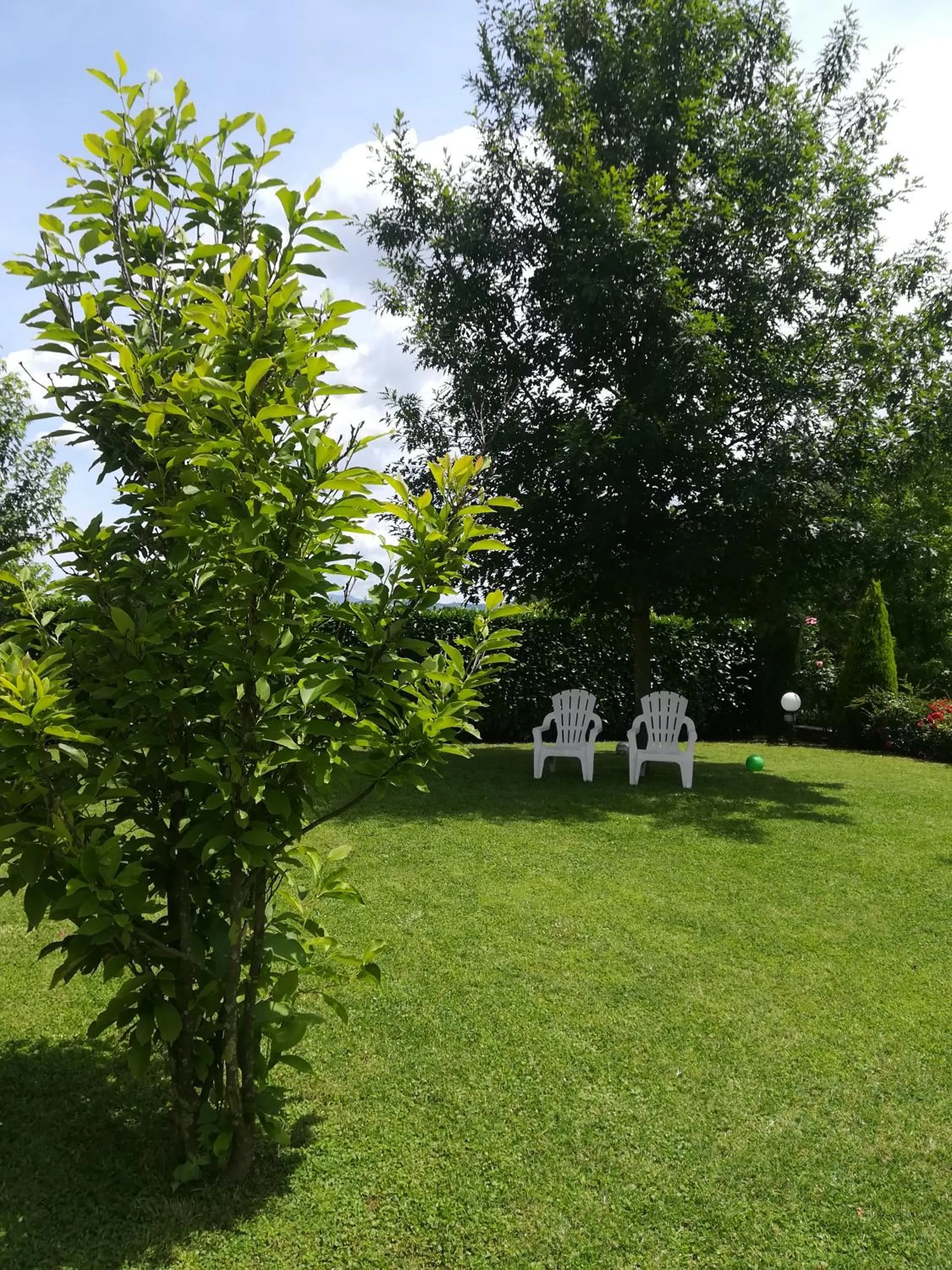 Garden in B&B Terra del Sole