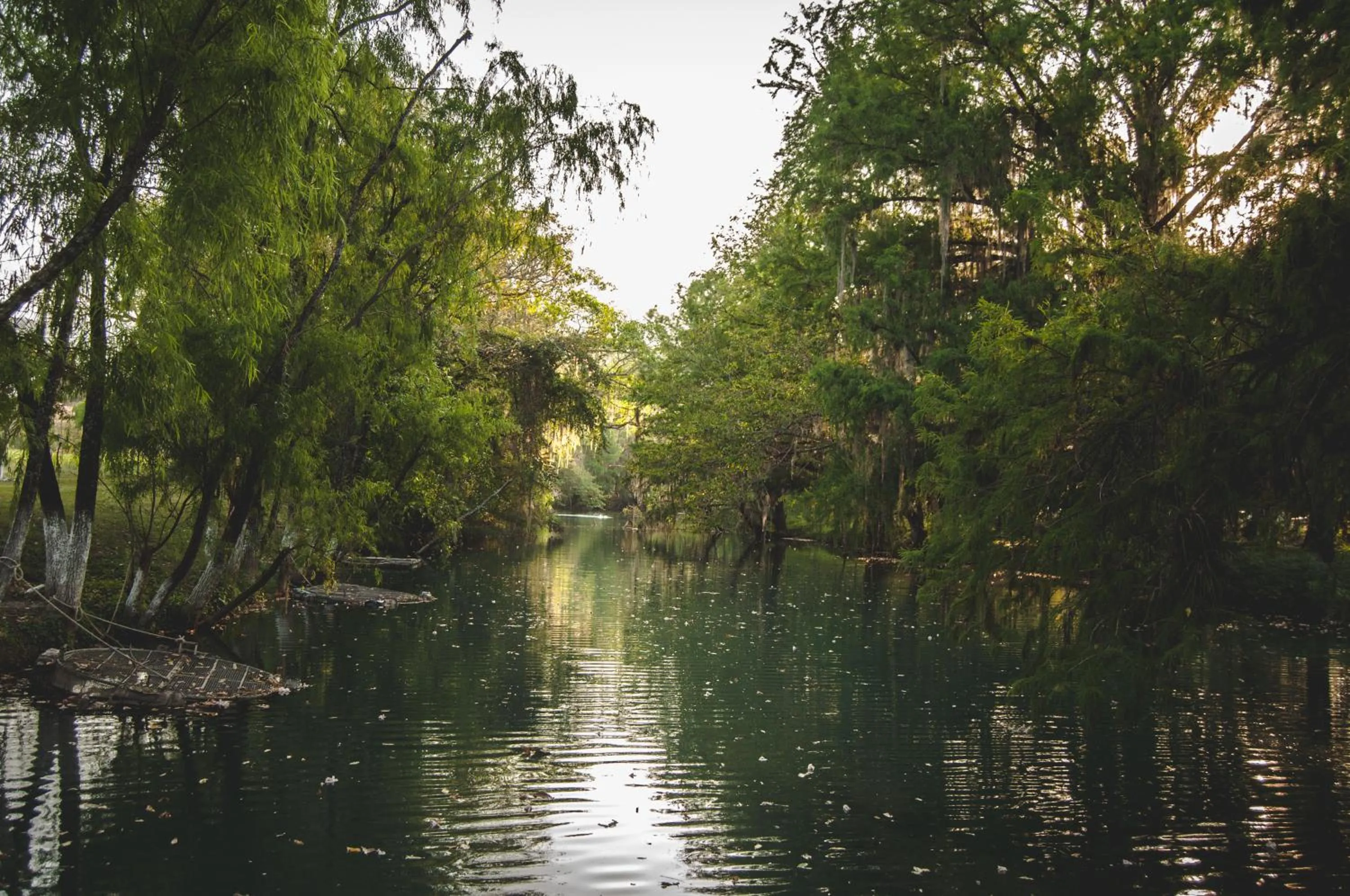 River view in Hotel y Restaurante EL TEXANO