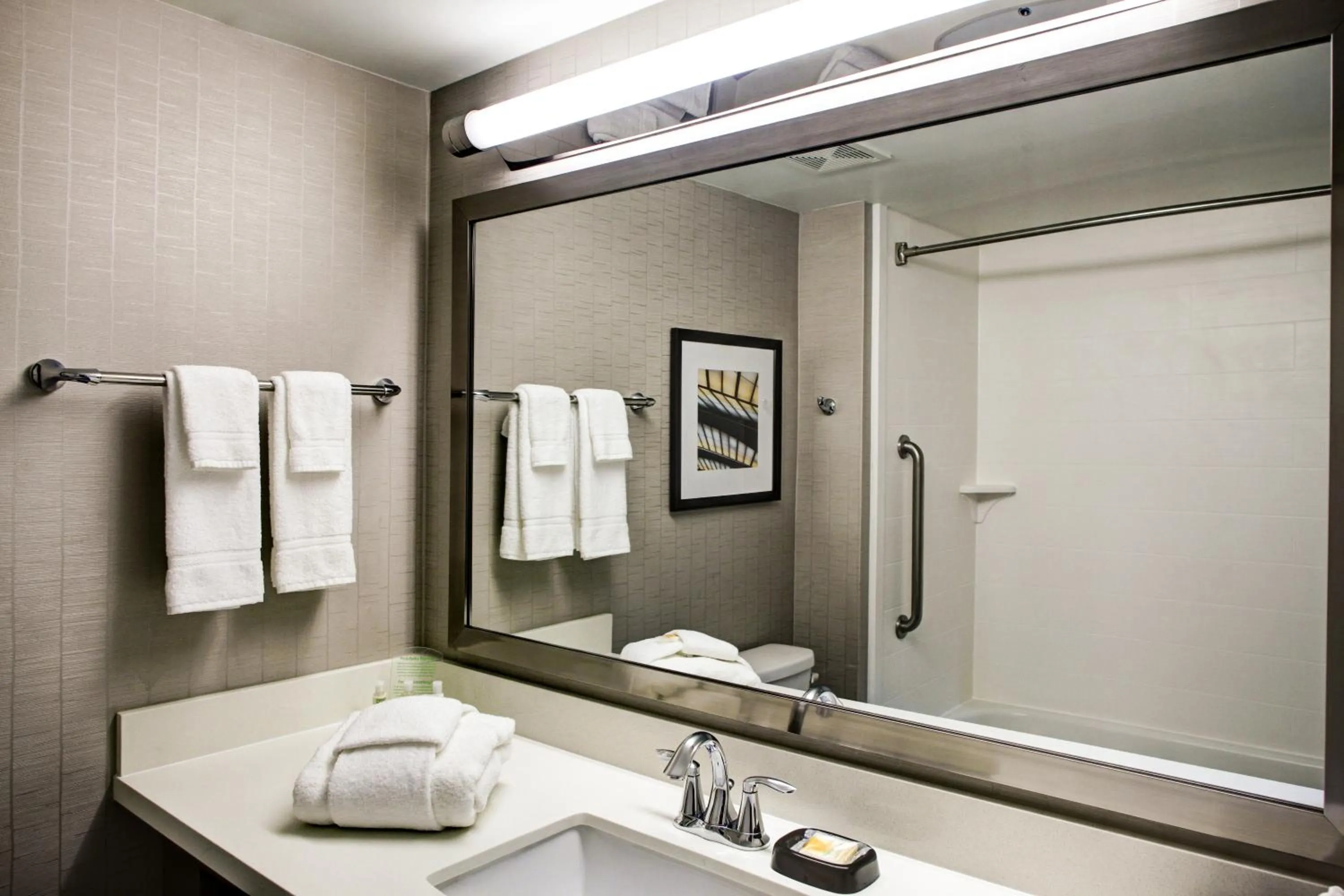 Bathroom in Holiday Inn Franklin - Cool Springs by IHG