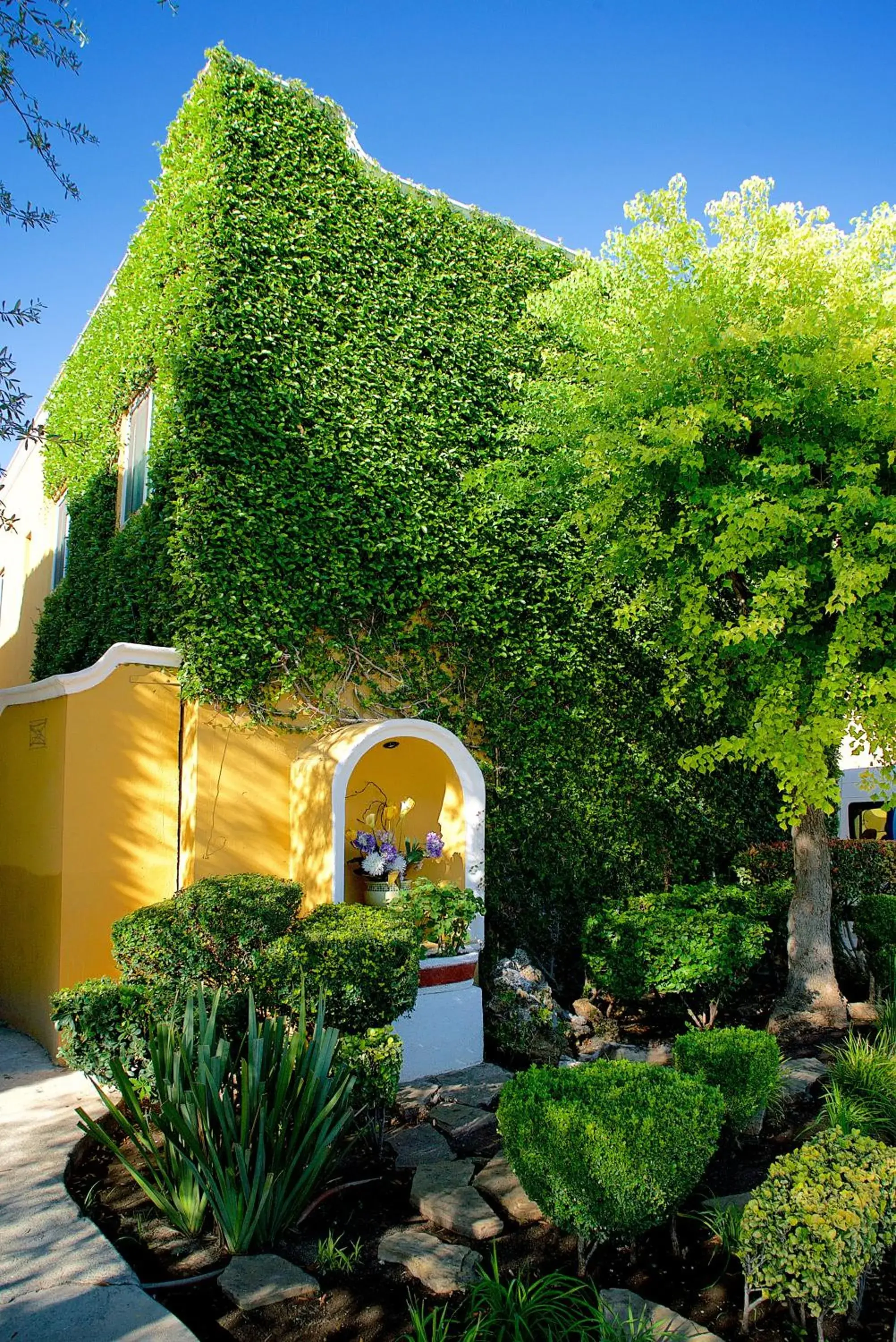 Property building in Best Western Saltillo Property building in Best Western Saltillo