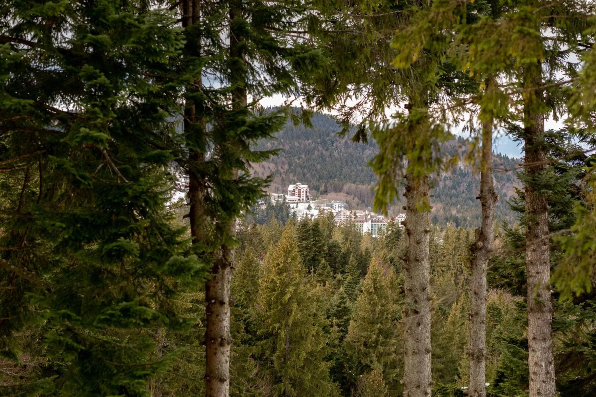 City view in Eden Grand Resort