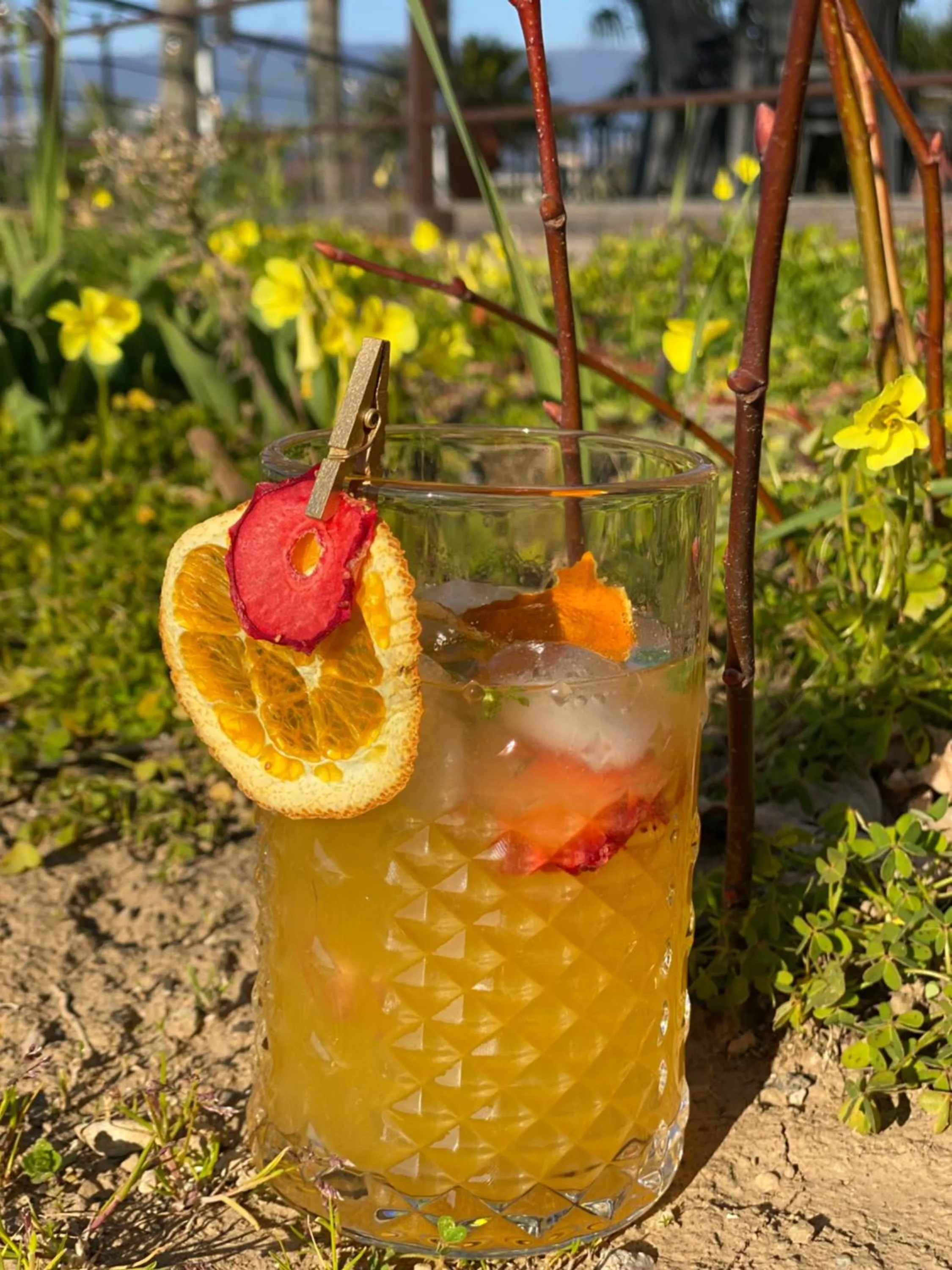 Drinks in B&B Il giardino di Armida