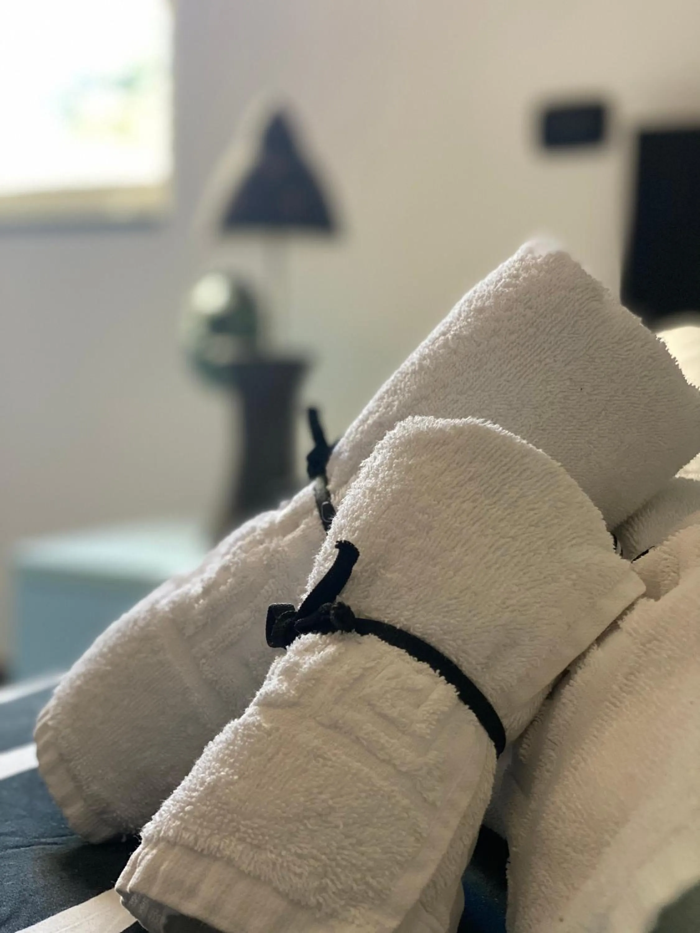 towels in B&B Il giardino di Armida