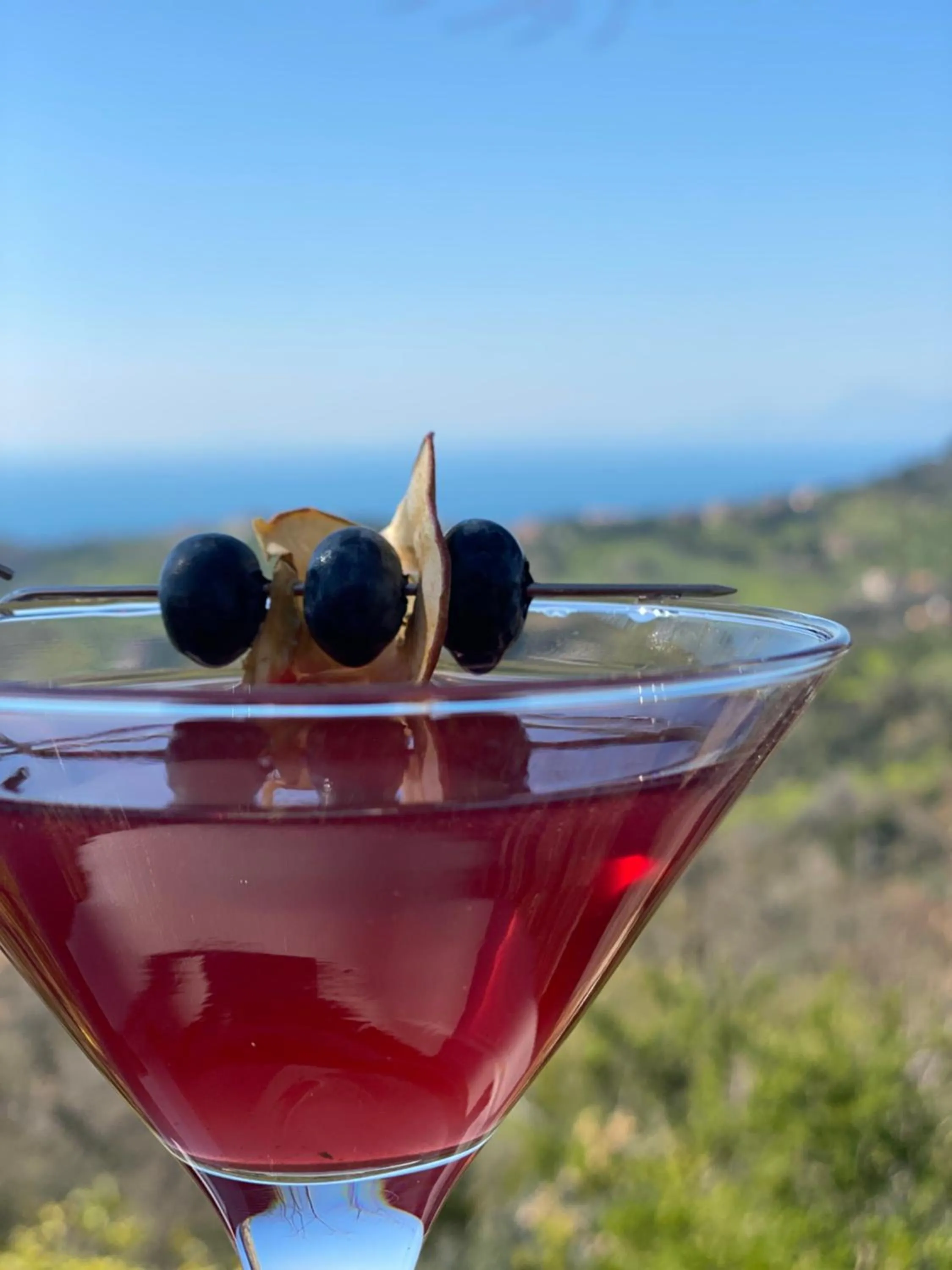 Drinks in B&B Il giardino di Armida