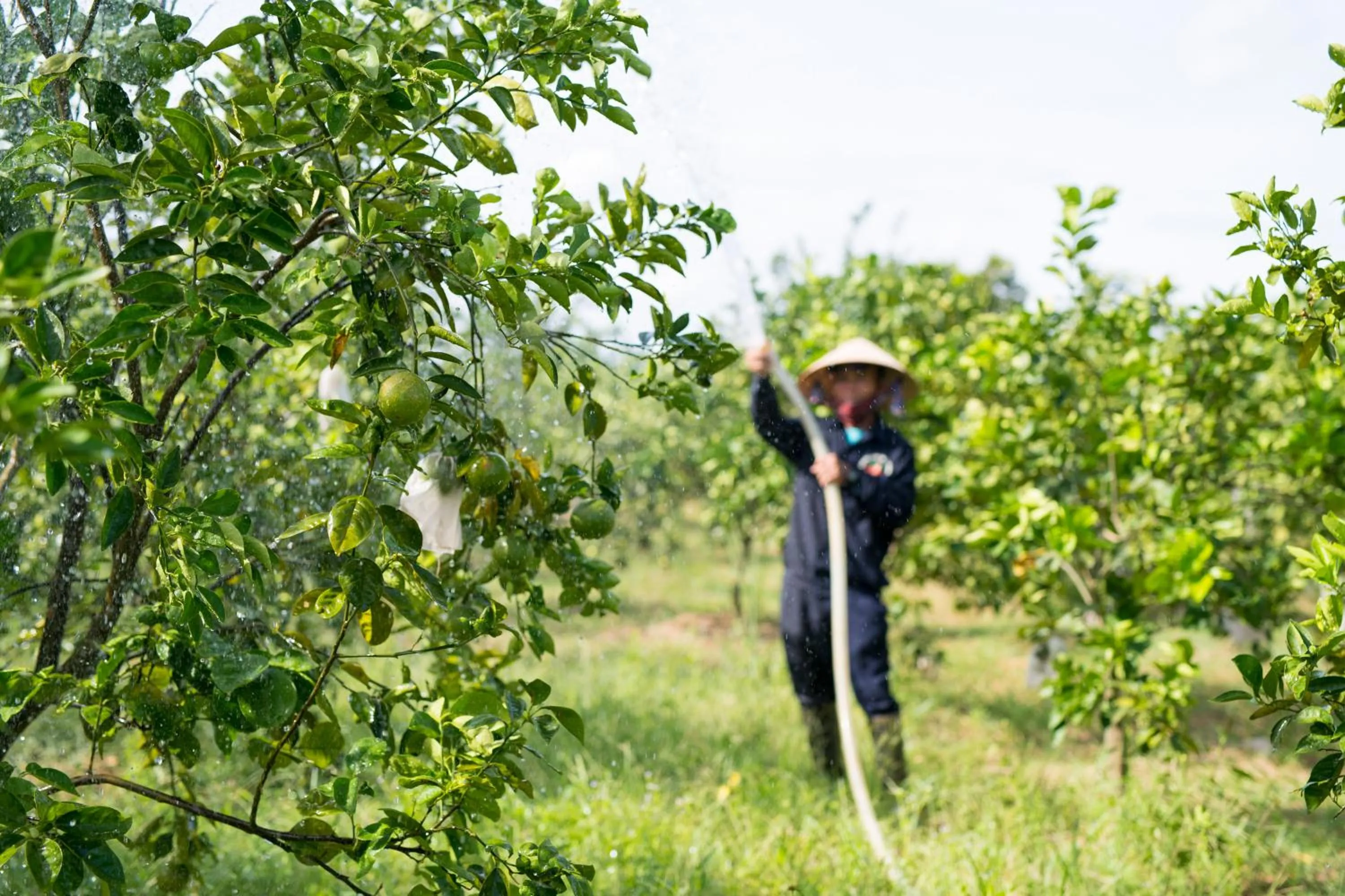 People in My Son Heritage Resort and Spa