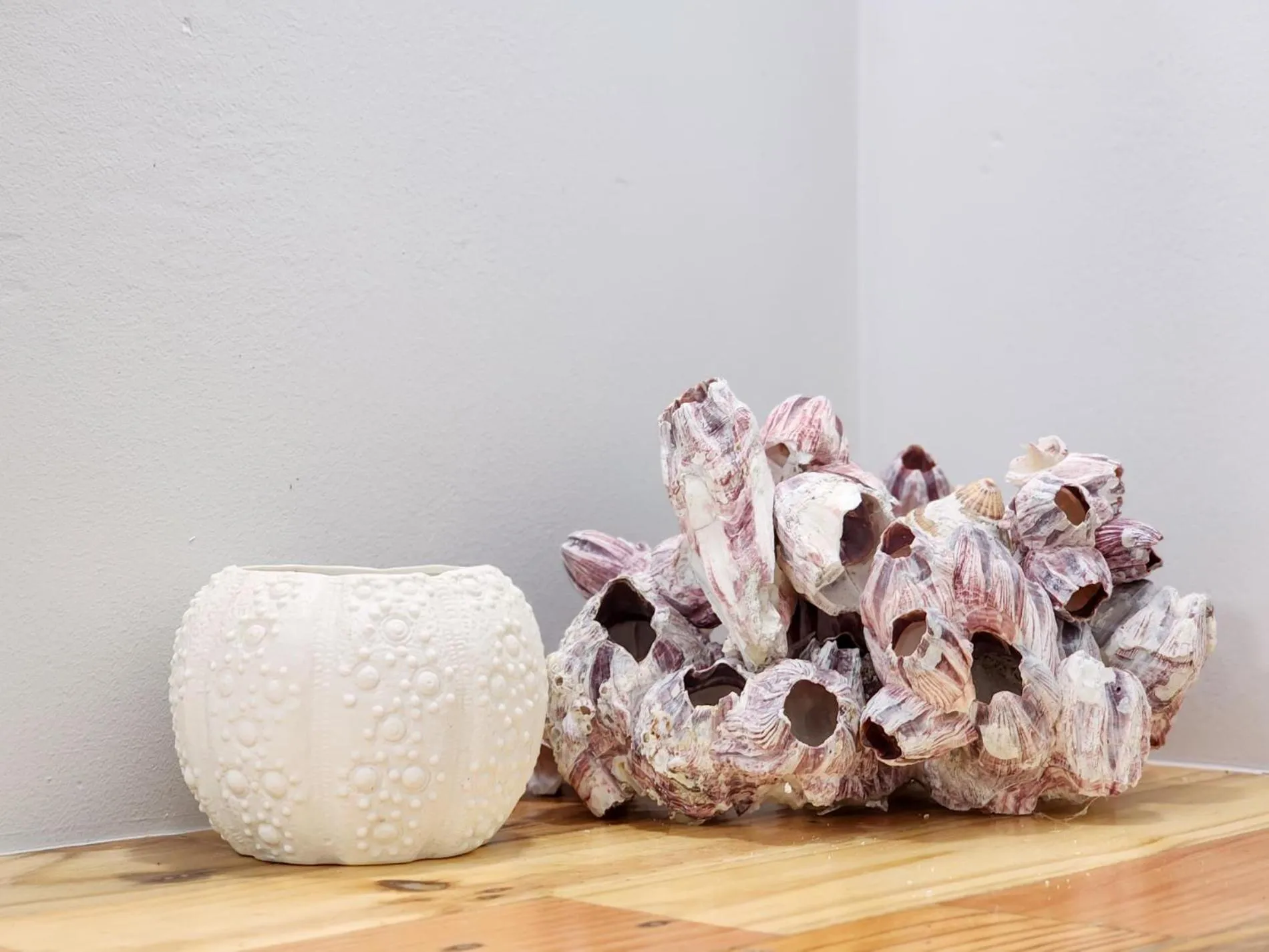 Salt Boutique Guest House