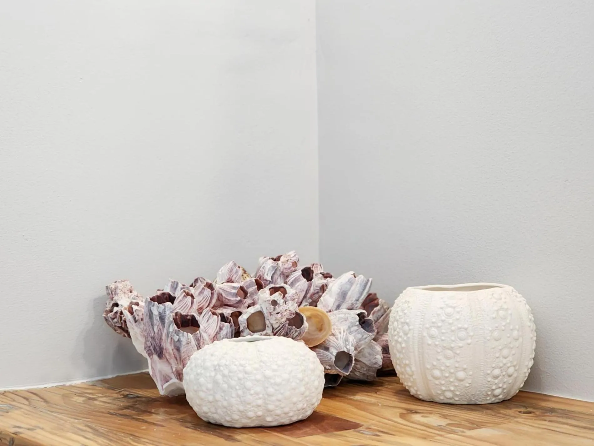 Salt Boutique Guest House