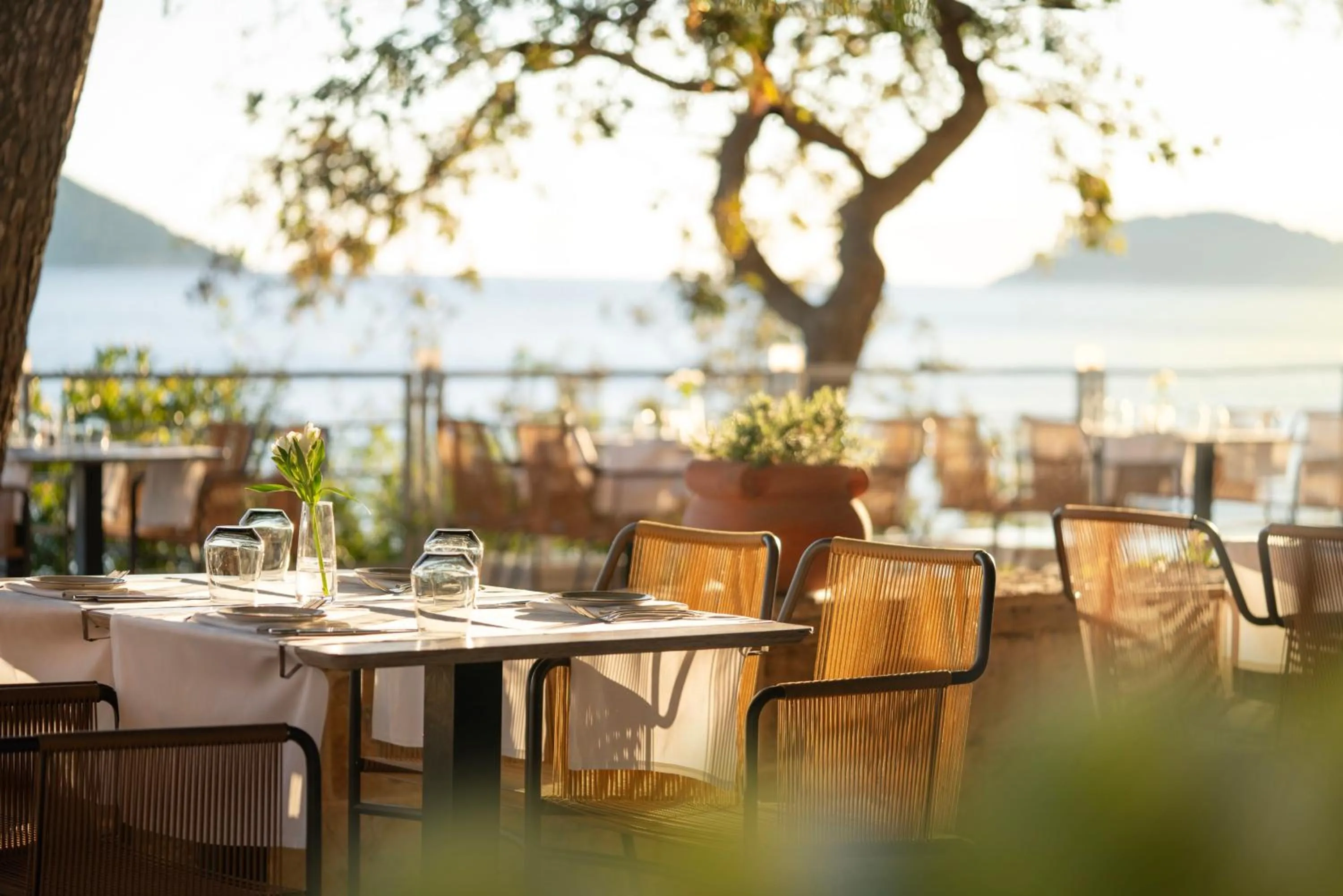 Restaurant/places to eat in Sun Gardens Dubrovnik