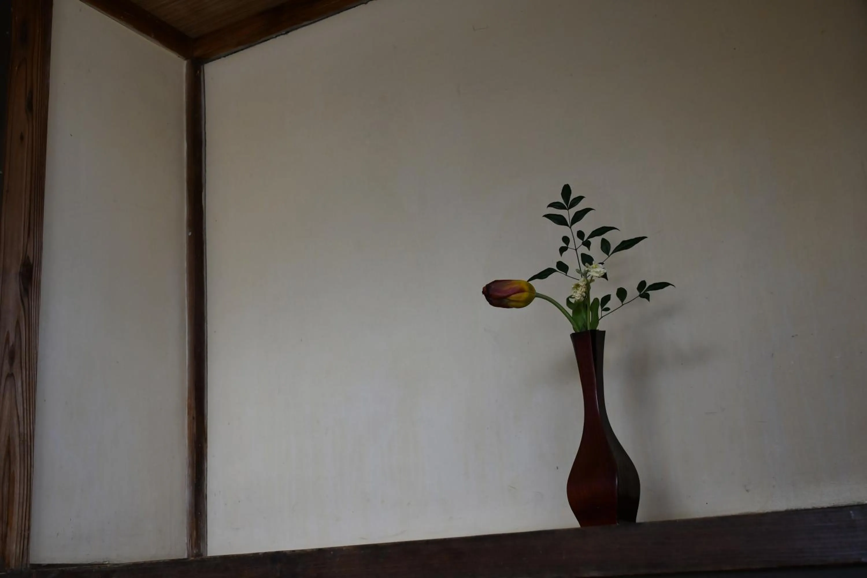 Tsubaki - the best guesthouse in Inawashiro -