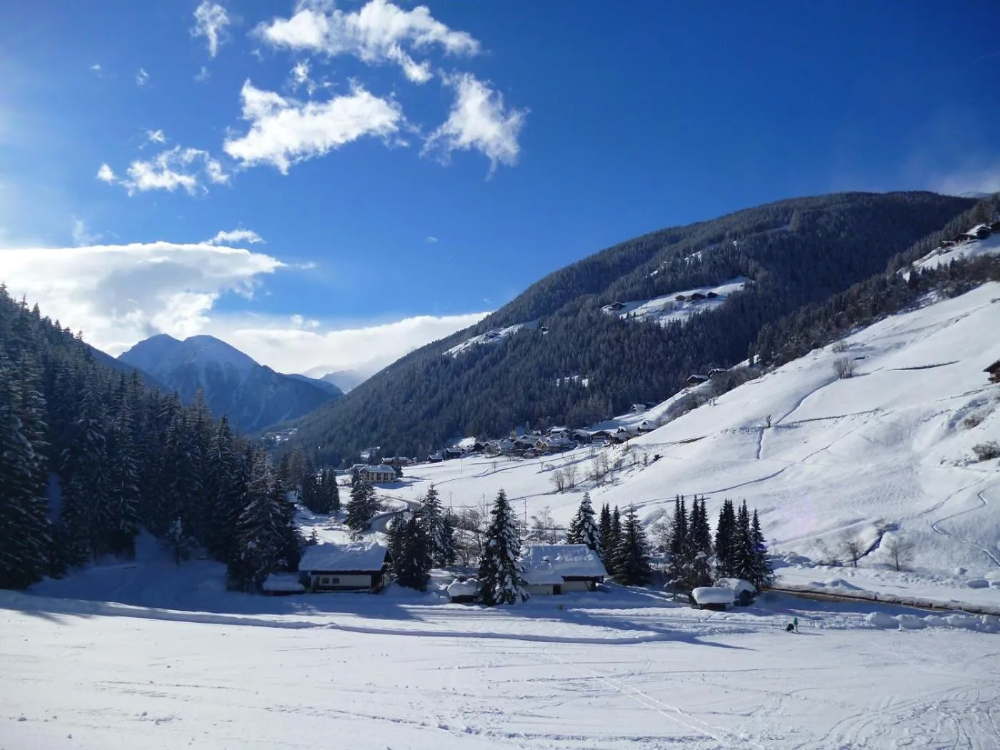Natural landscape in Hotel Ortler