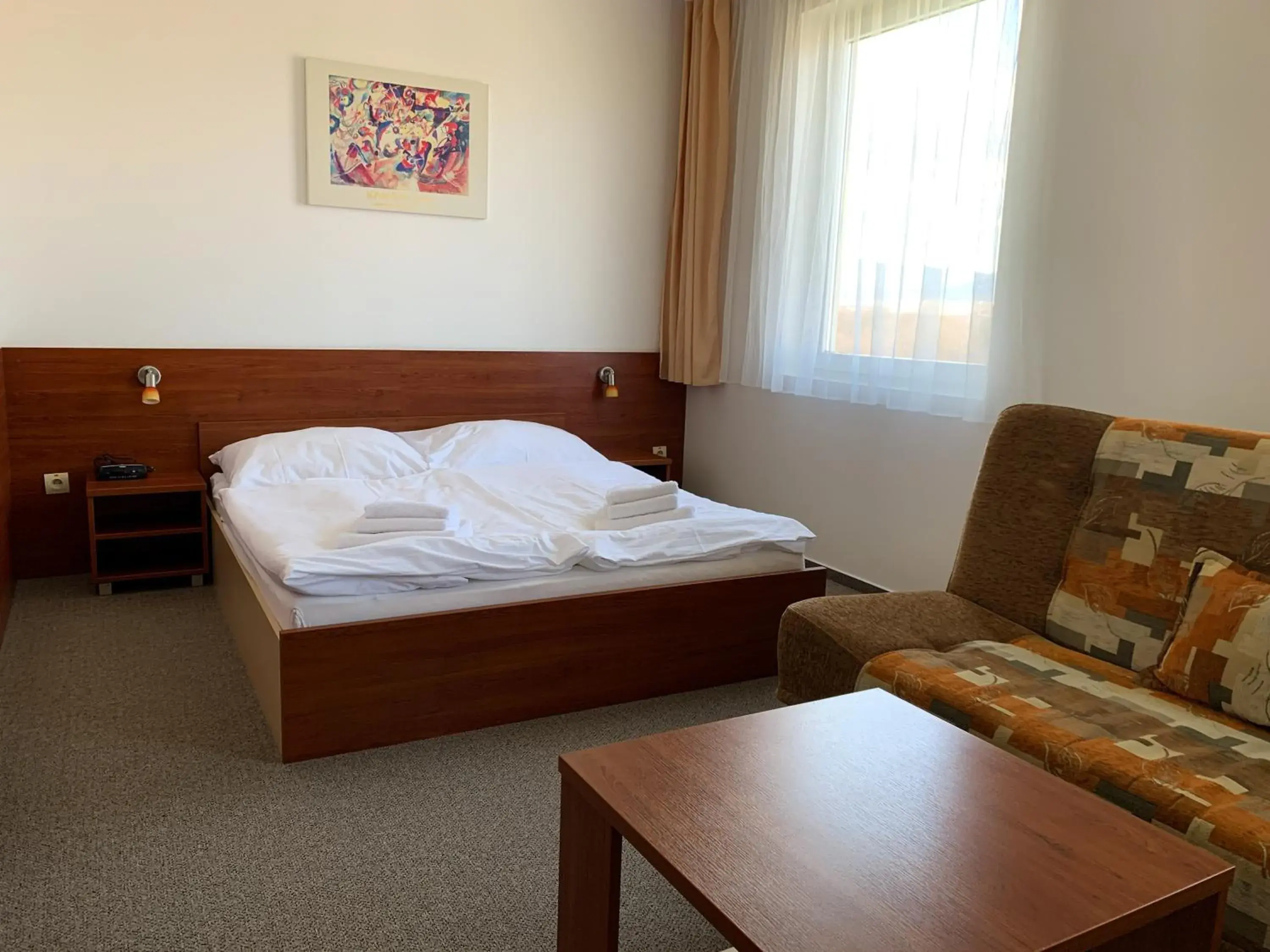 Large Double Room - single occupancy in Hotel Patriot Large Double Room - single occupancy in Hotel Patriot