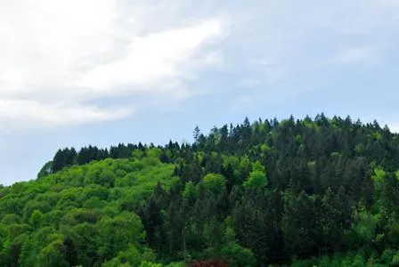 Day in Hotel Prinzen